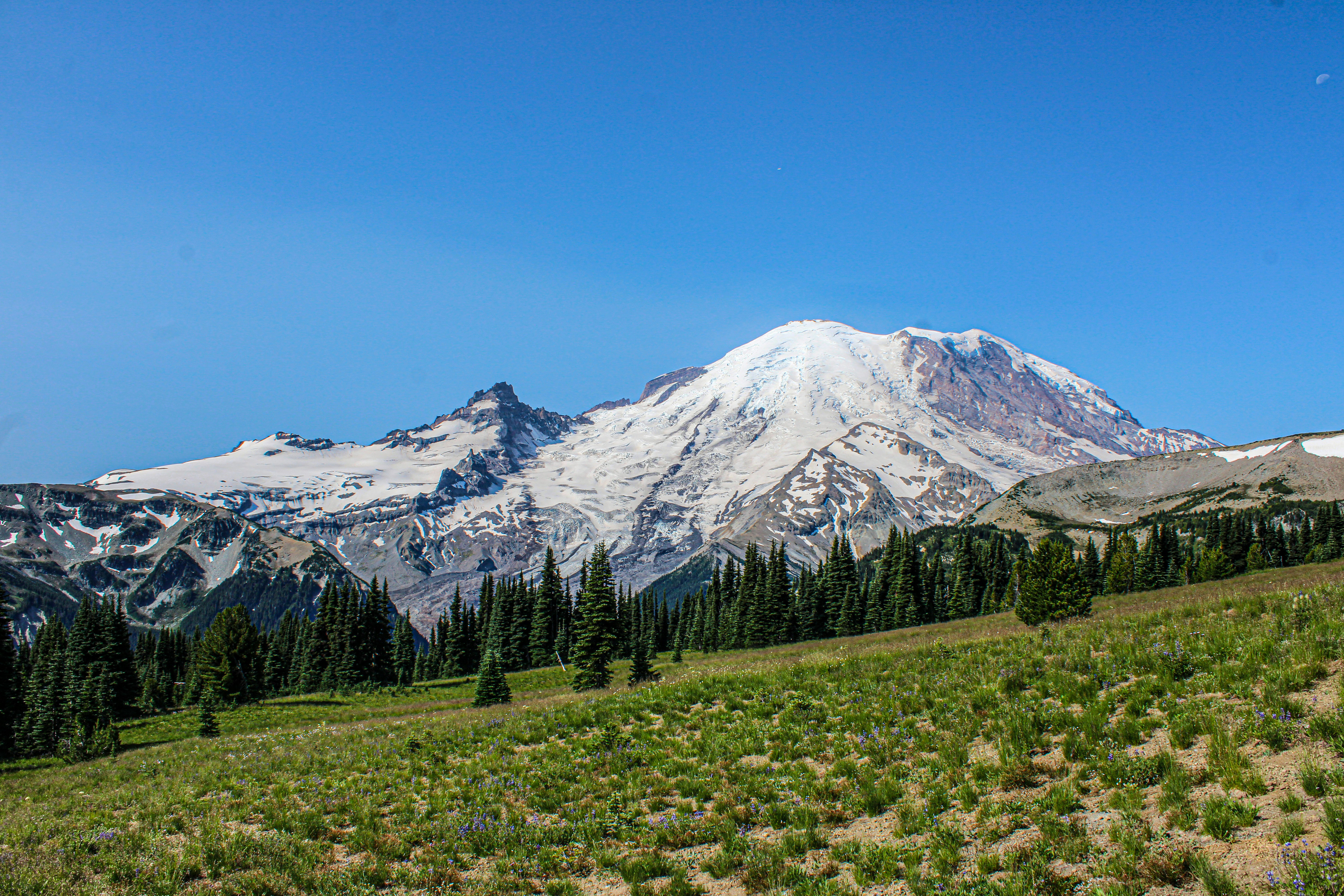 Photo by prphotography262