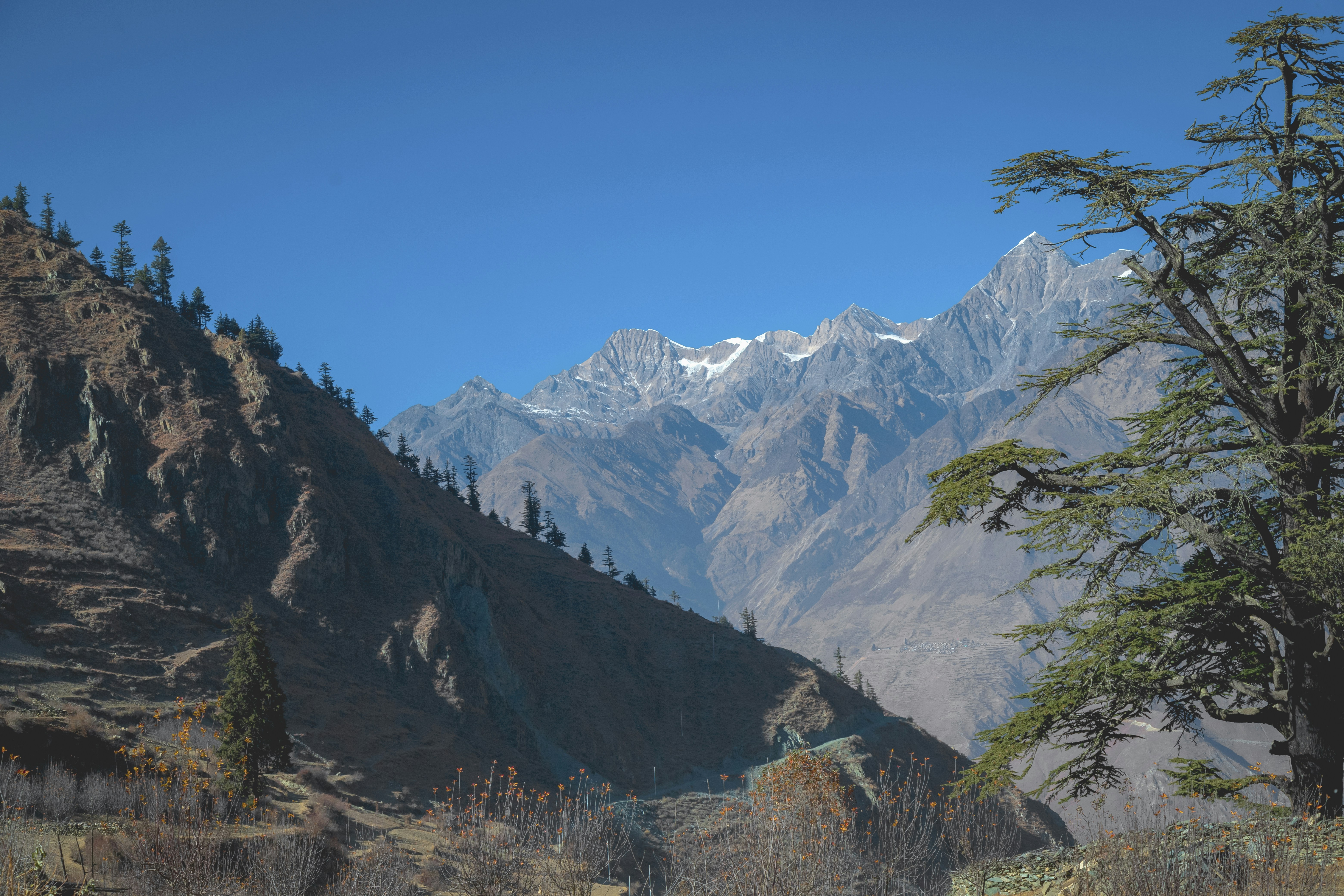 A view of a mountain range with trees in the foreground, 