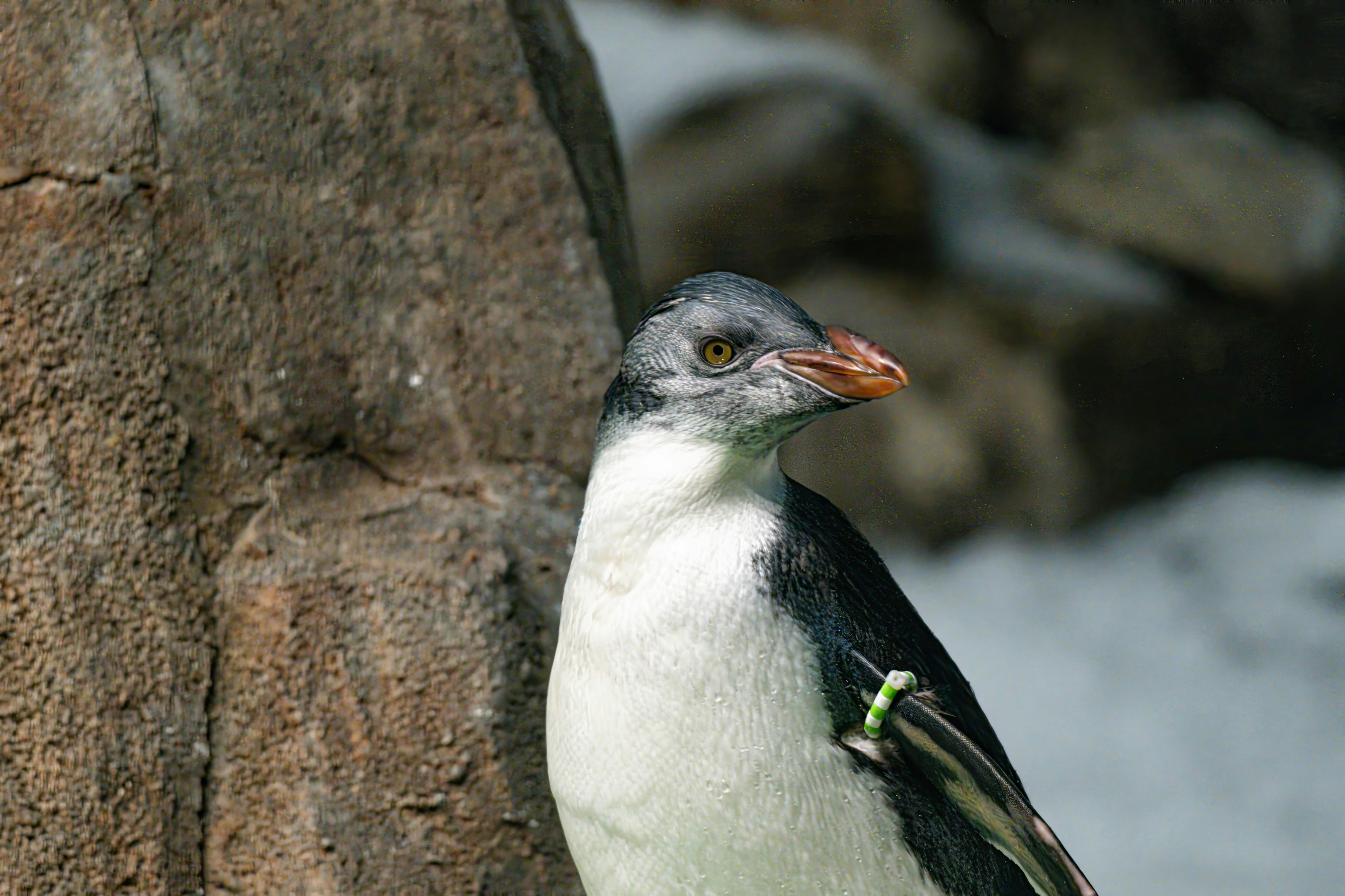 Photo by alexandredaoust