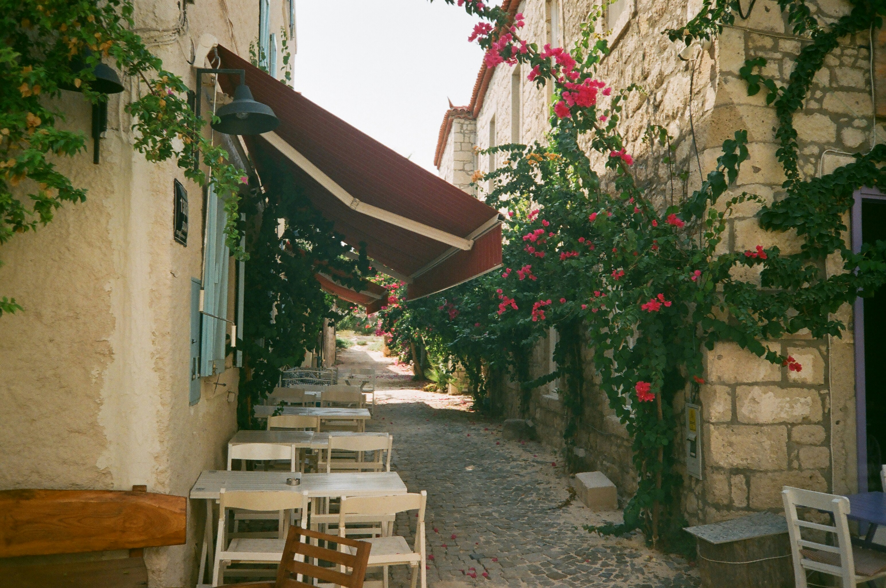 Photo by polinalavor