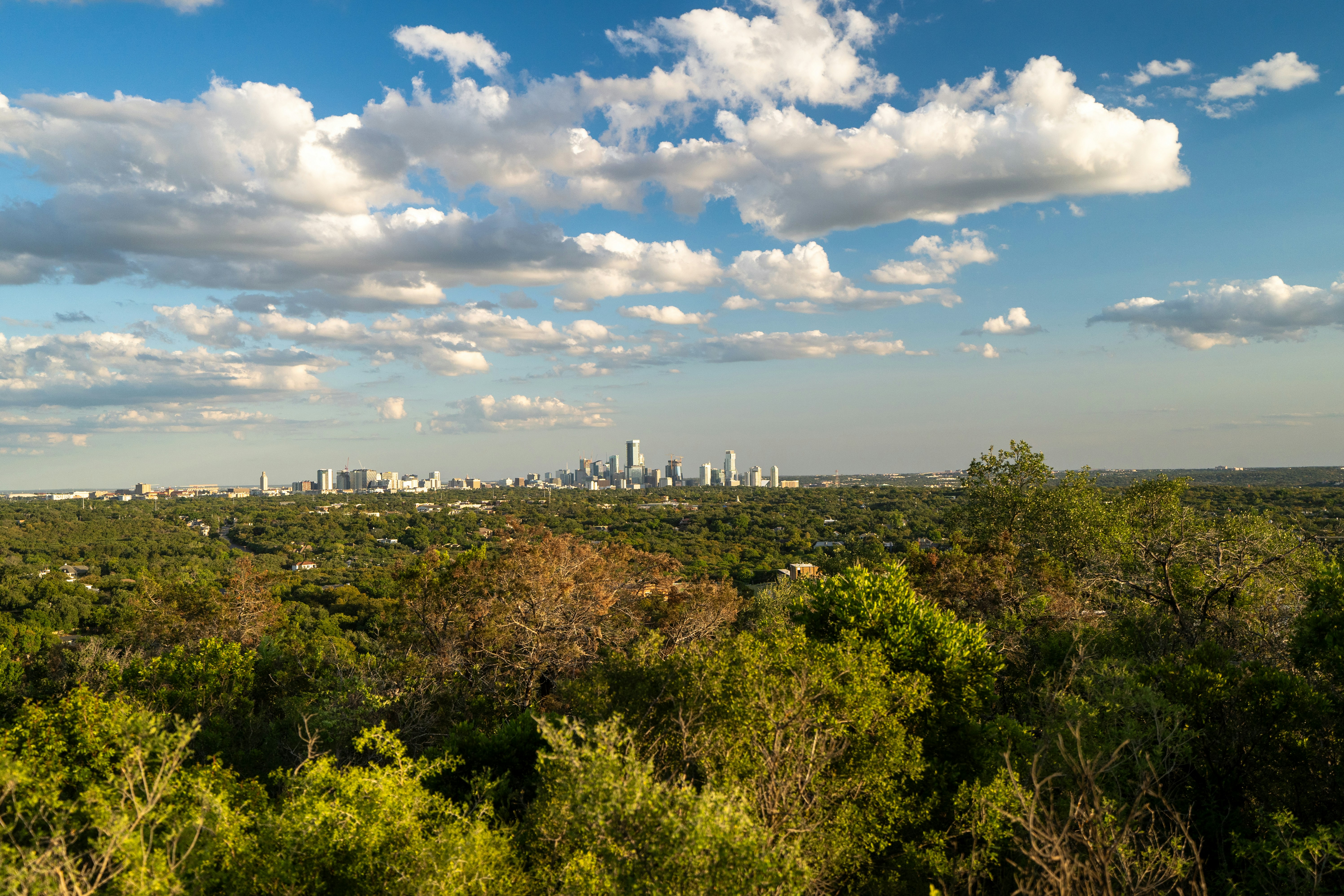 A view of a city in the distance from a hill