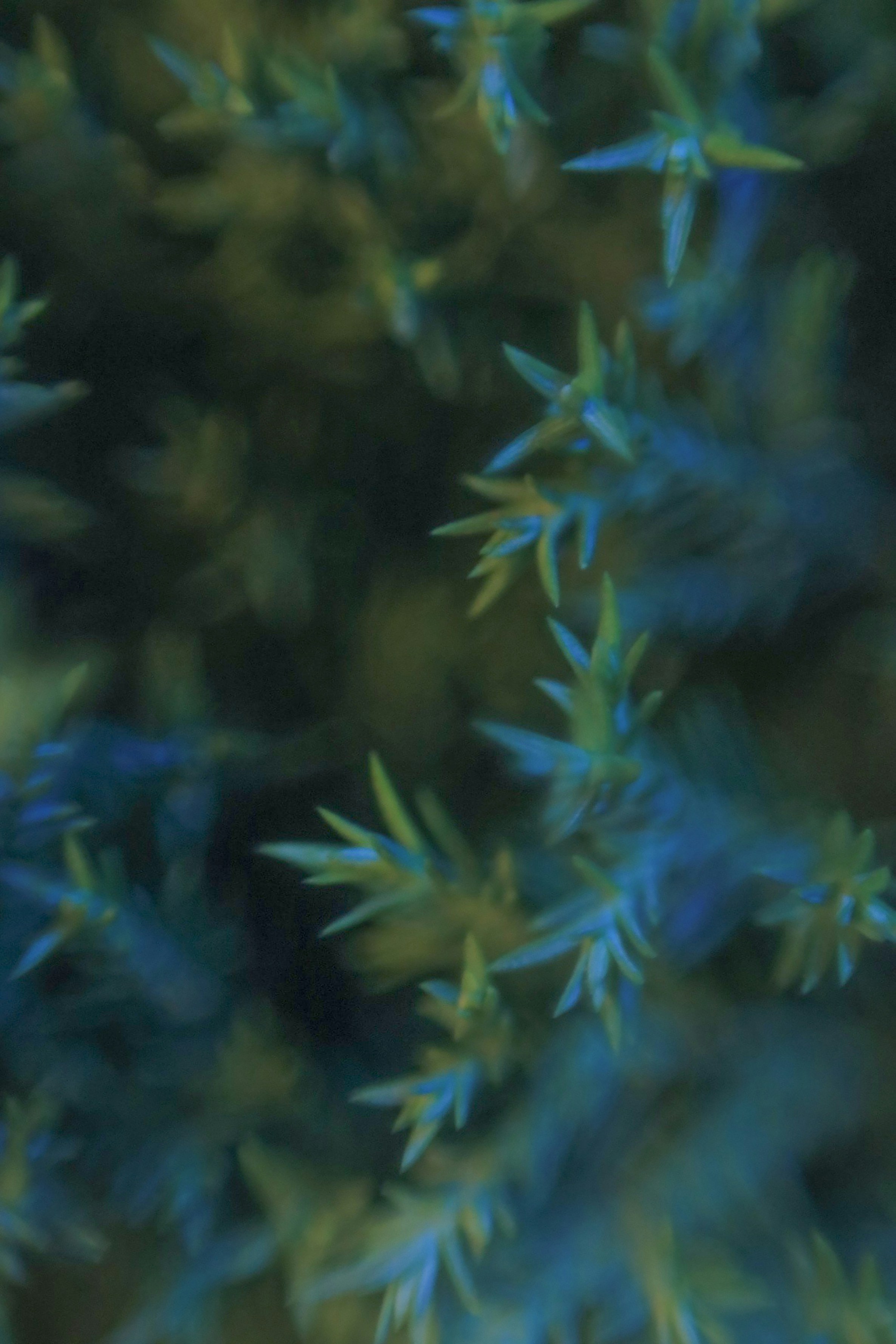 Photo by hoangbaovantue