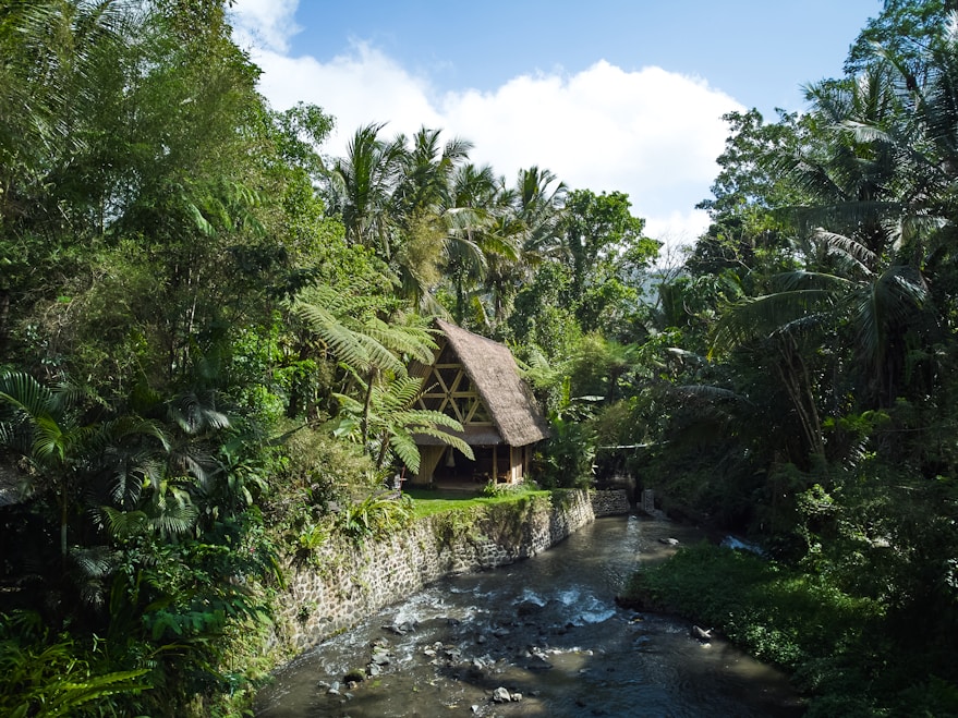A river running through a lush green forest