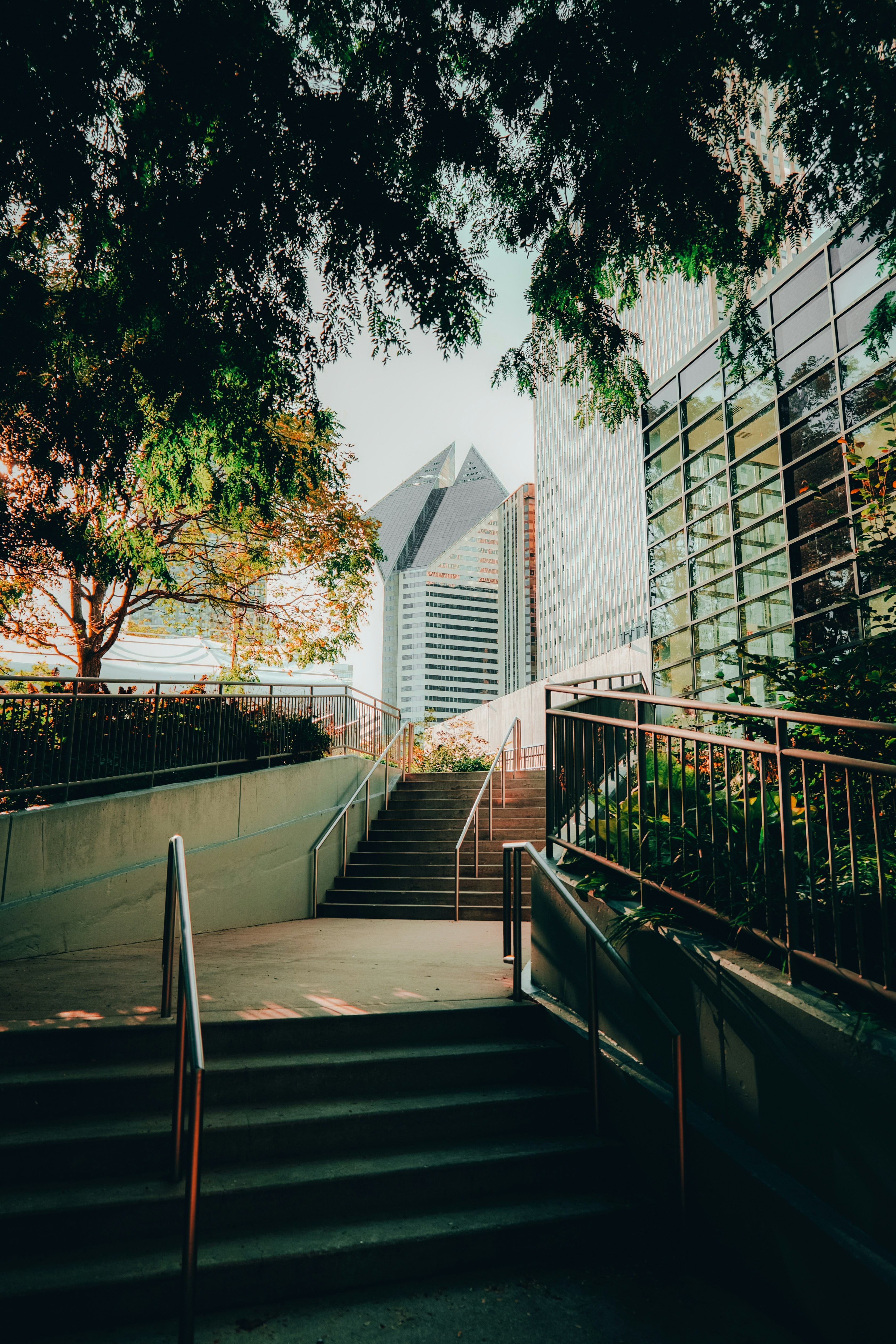 Photo by jadonjohnson