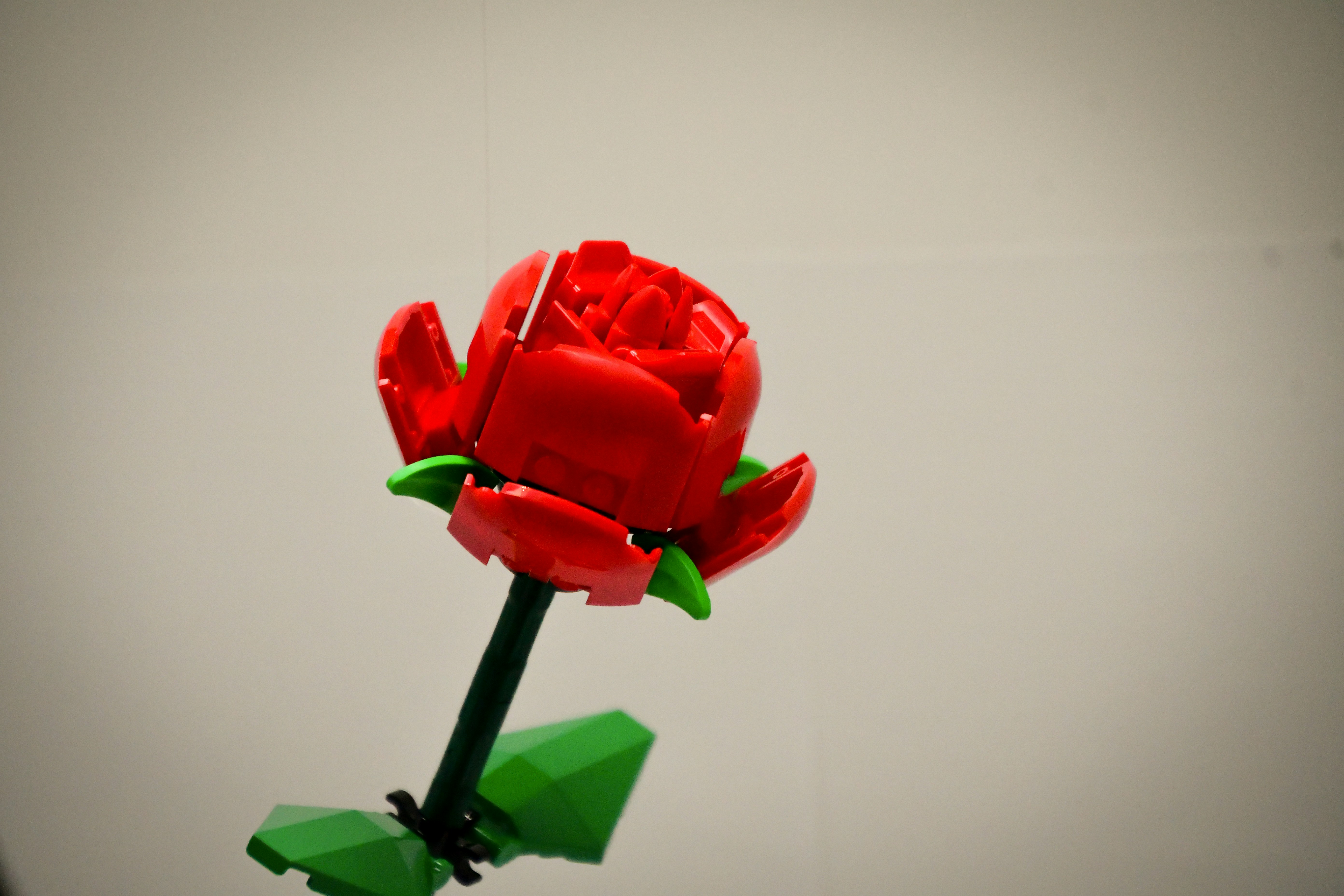 Photo by tory_hoffman