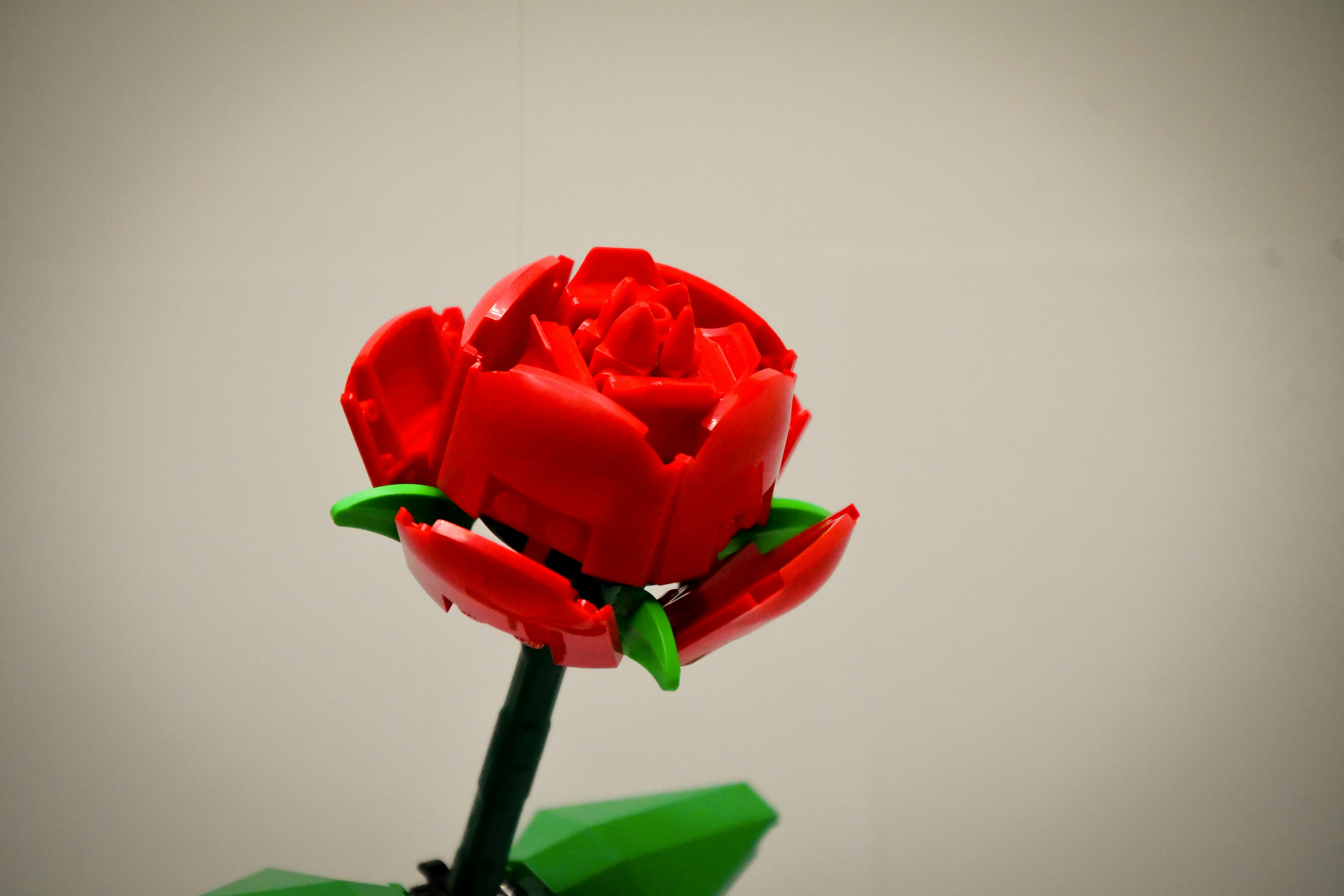 Photo by tory_hoffman