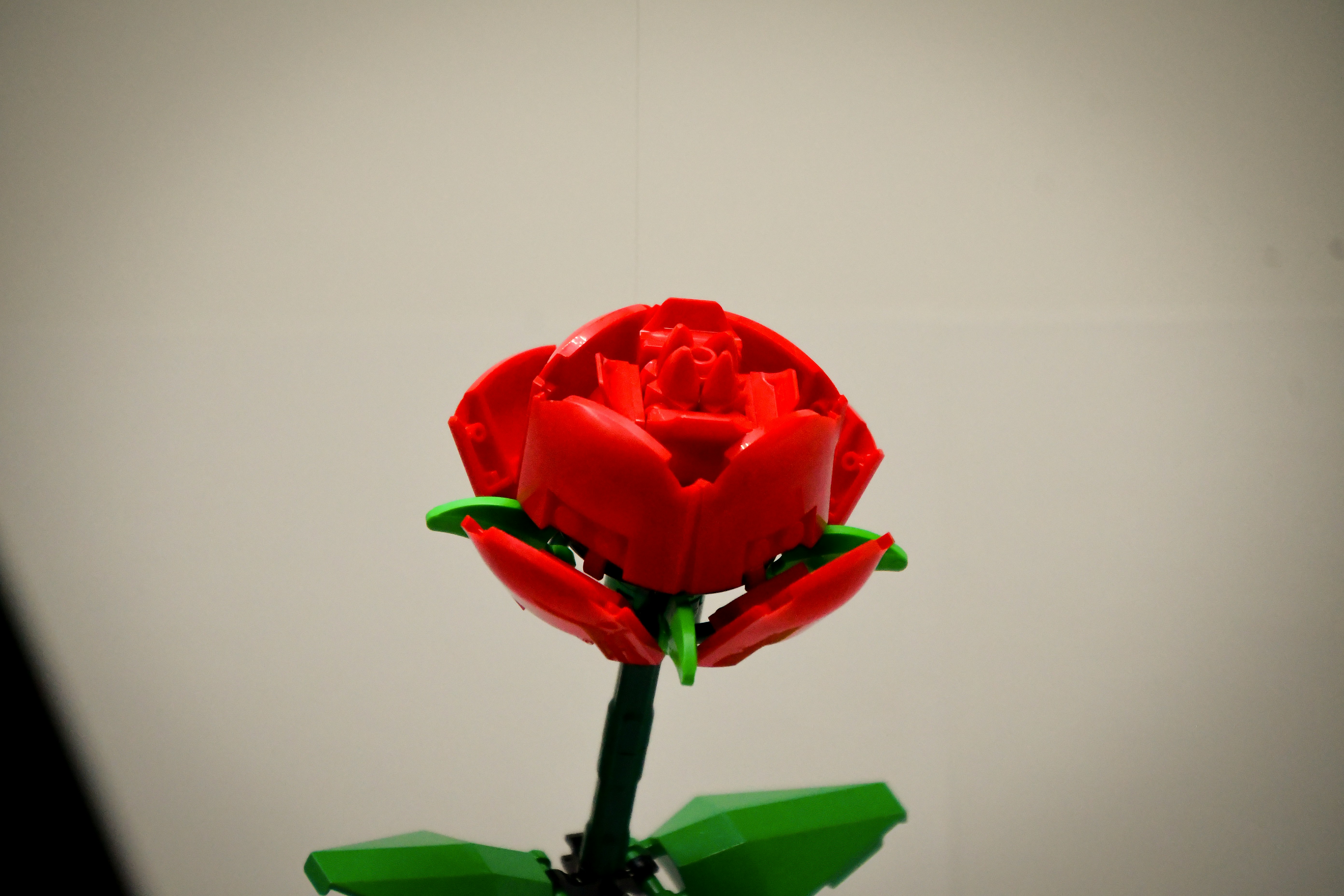 A single red rose sitting on top of a table