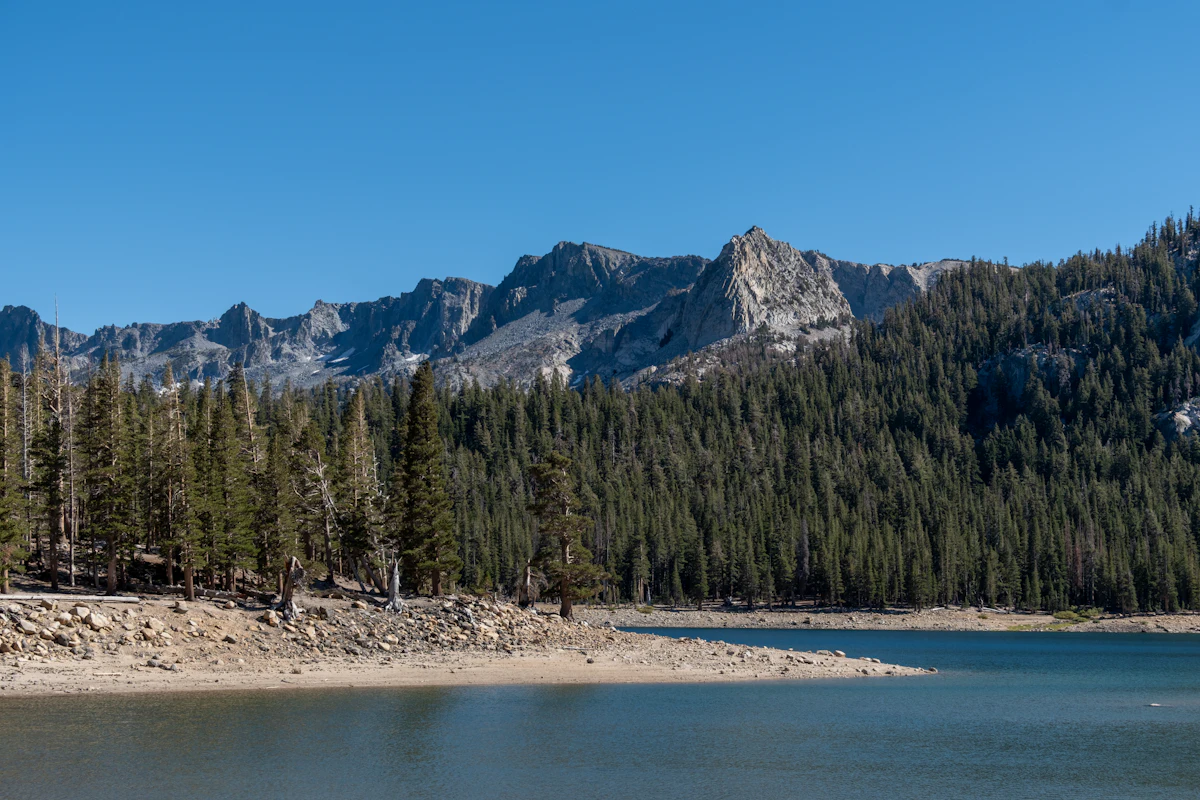 Horseshoe Lake near Mammoth Lakes, a pale shore and pines below a granite ridge