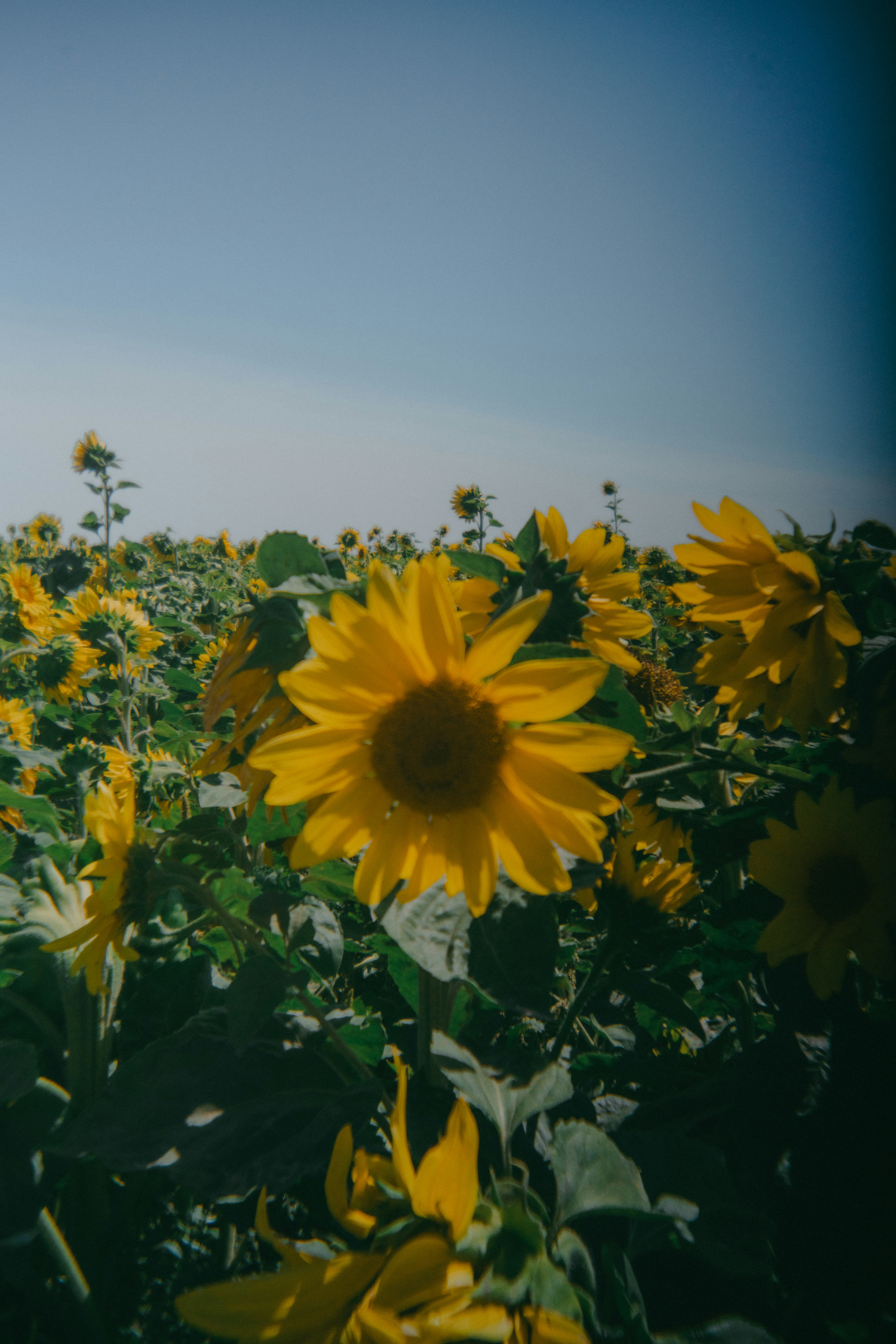 Photo by john_vicente26