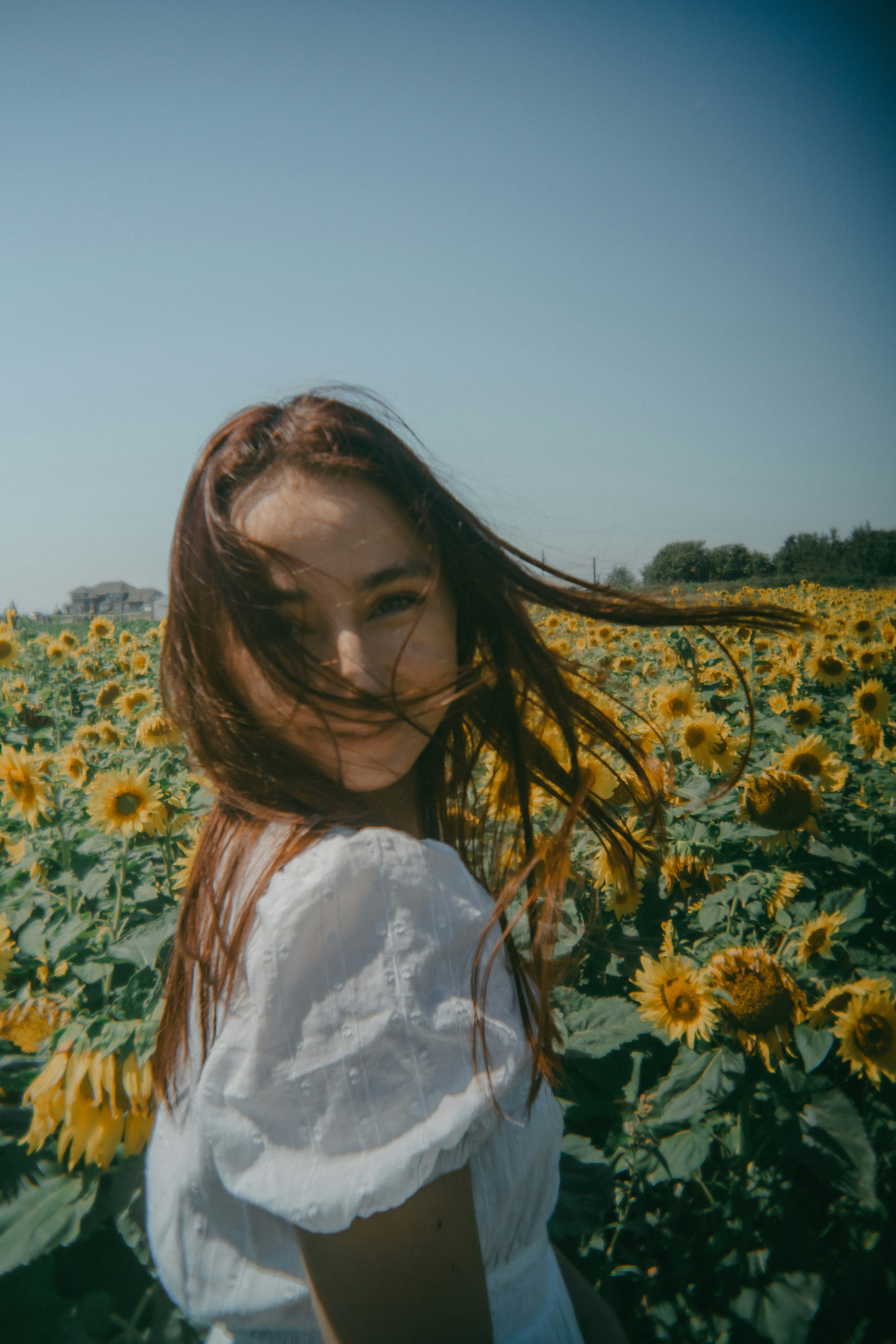 A woman standing in a field of sunflowers
