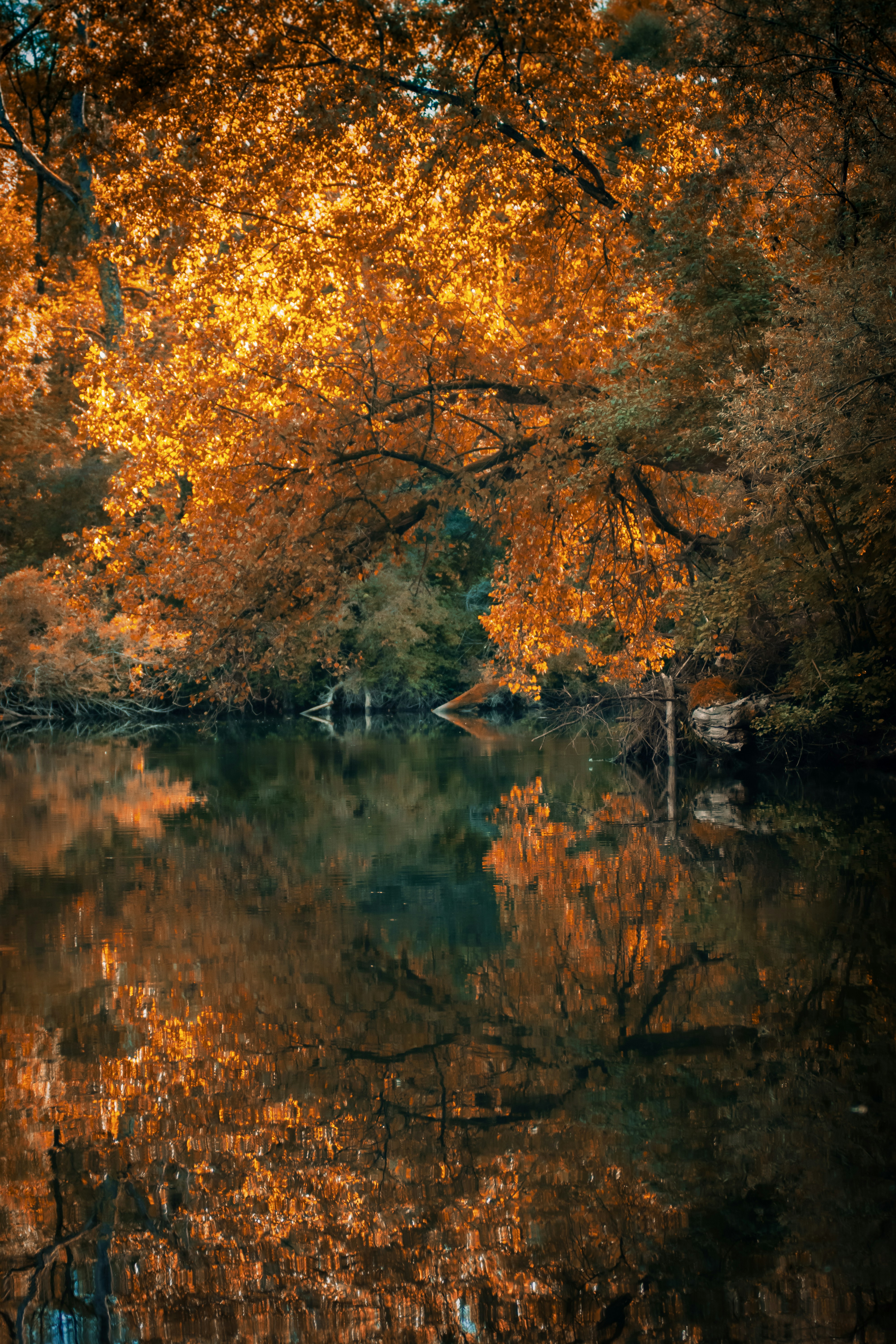 Photo by fabrice_fotografie