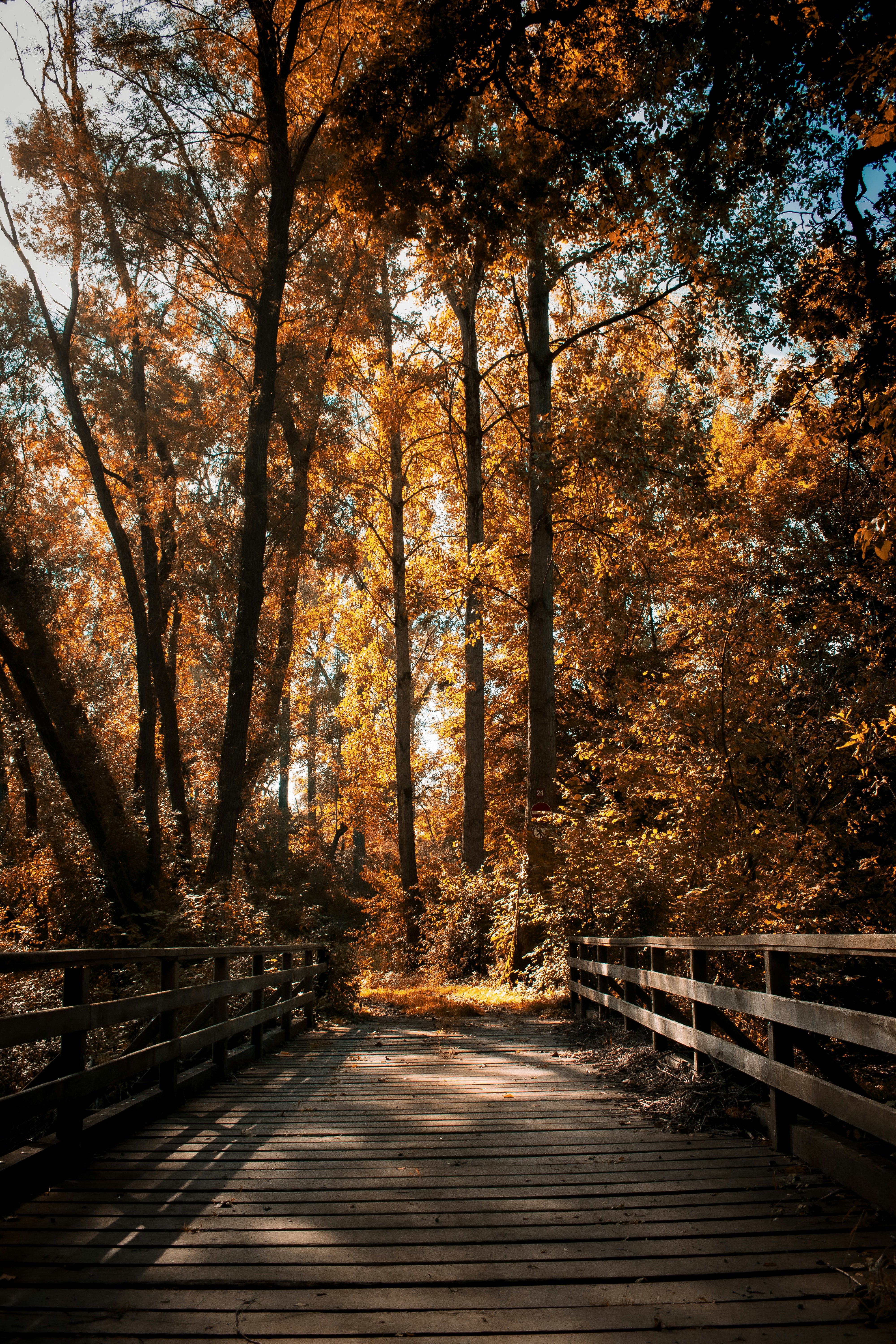 Photo by fabrice_fotografie