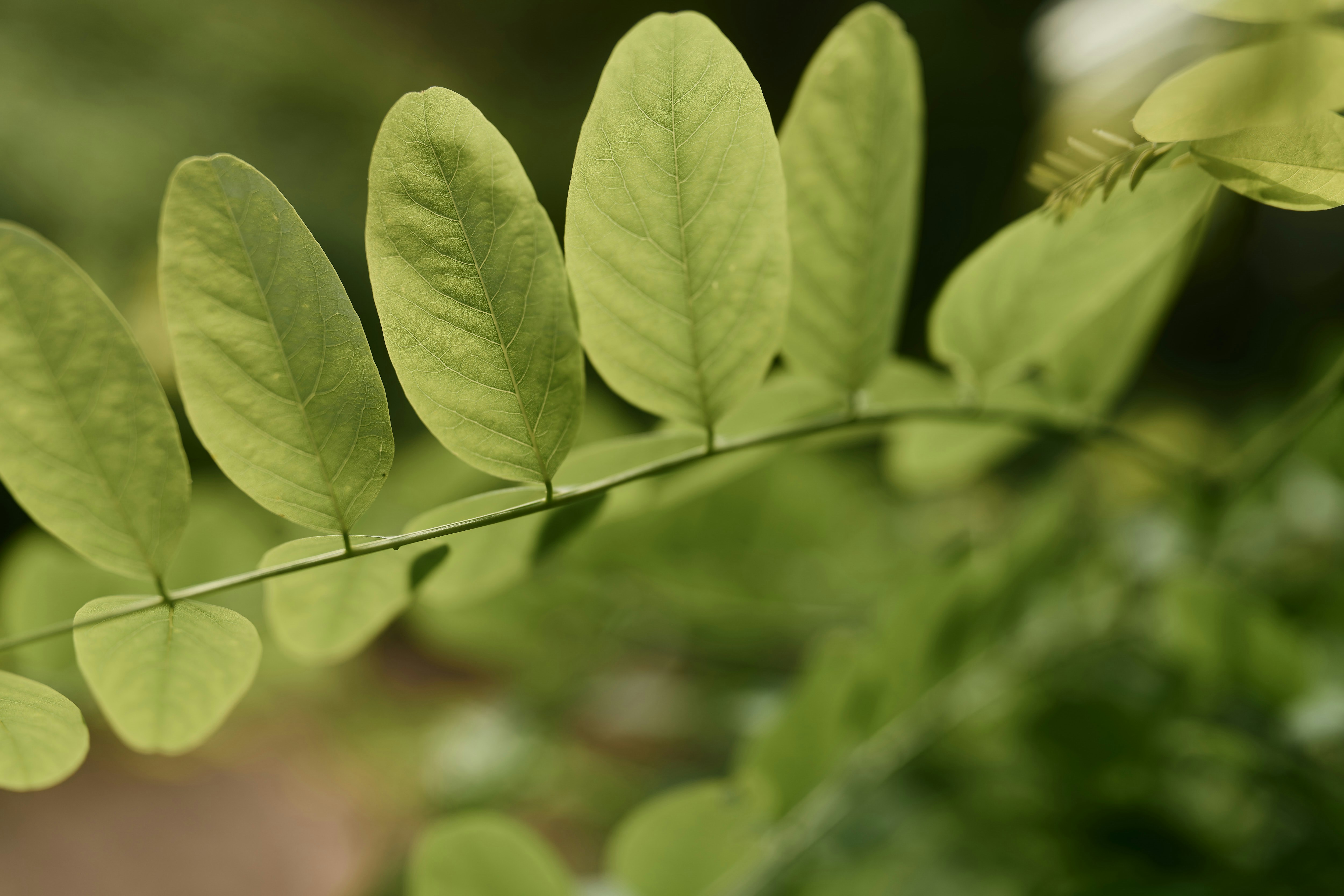 Photo by therealflip_93