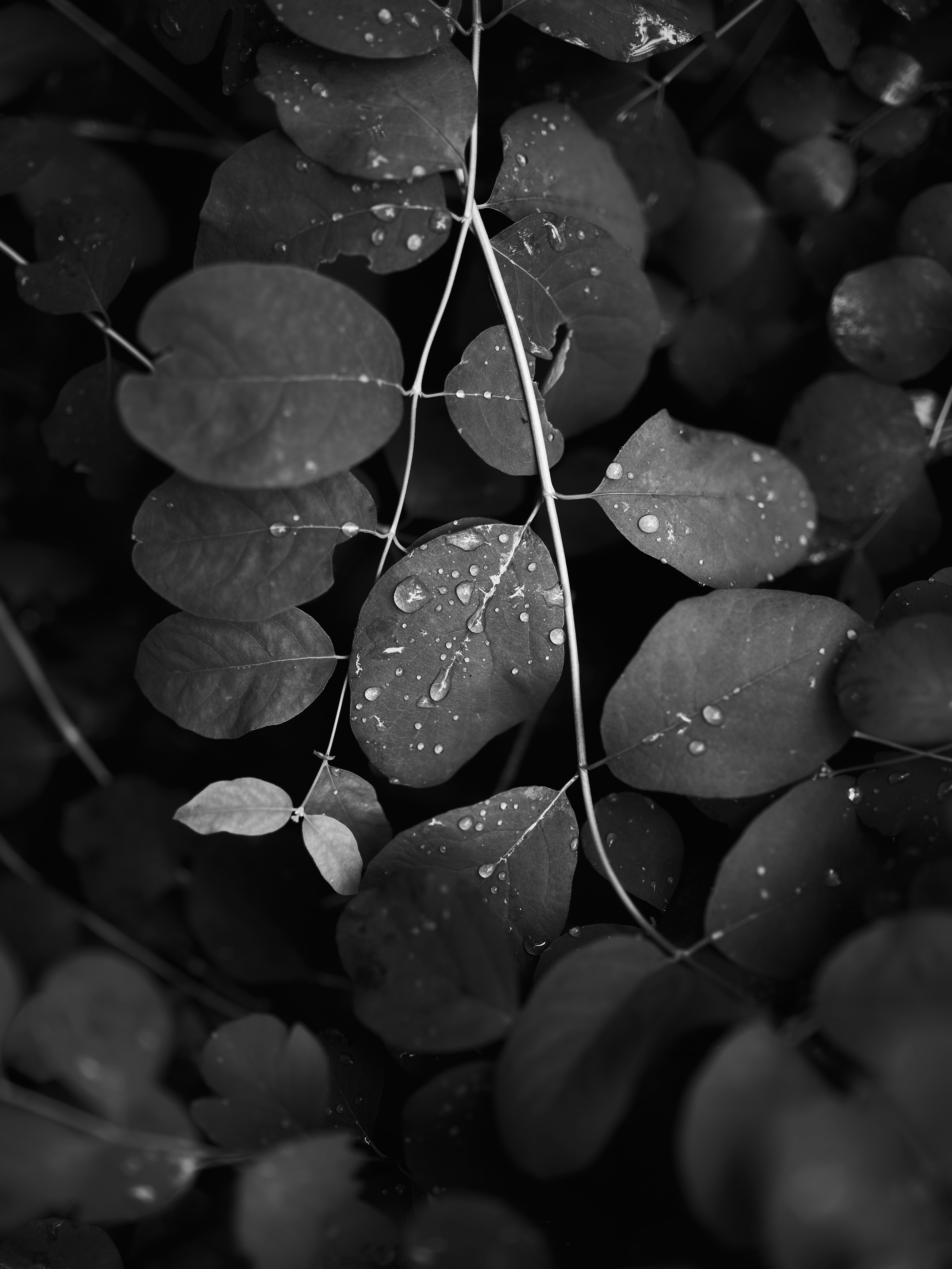 Photo by therealflip_93