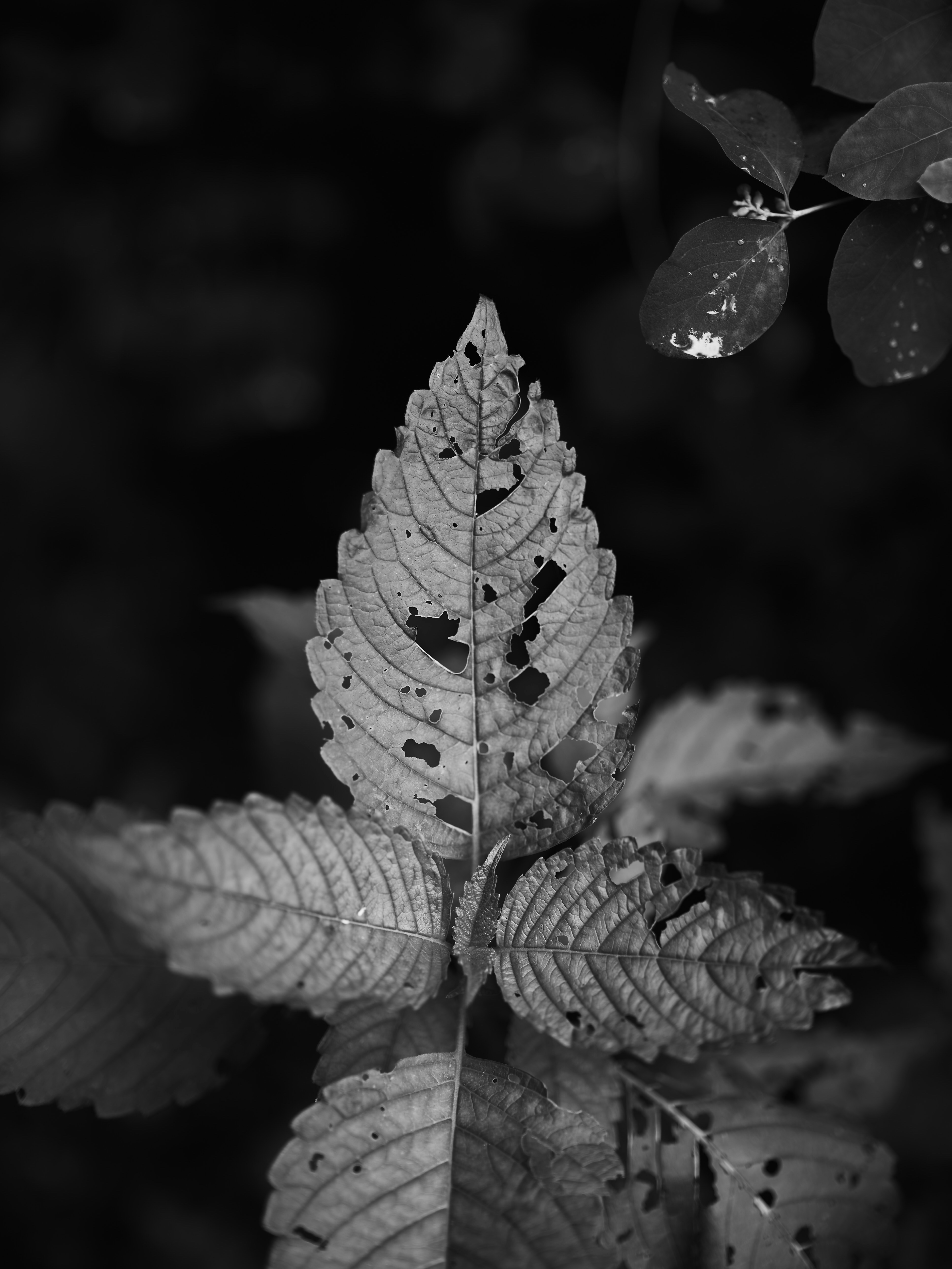 Photo by therealflip_93