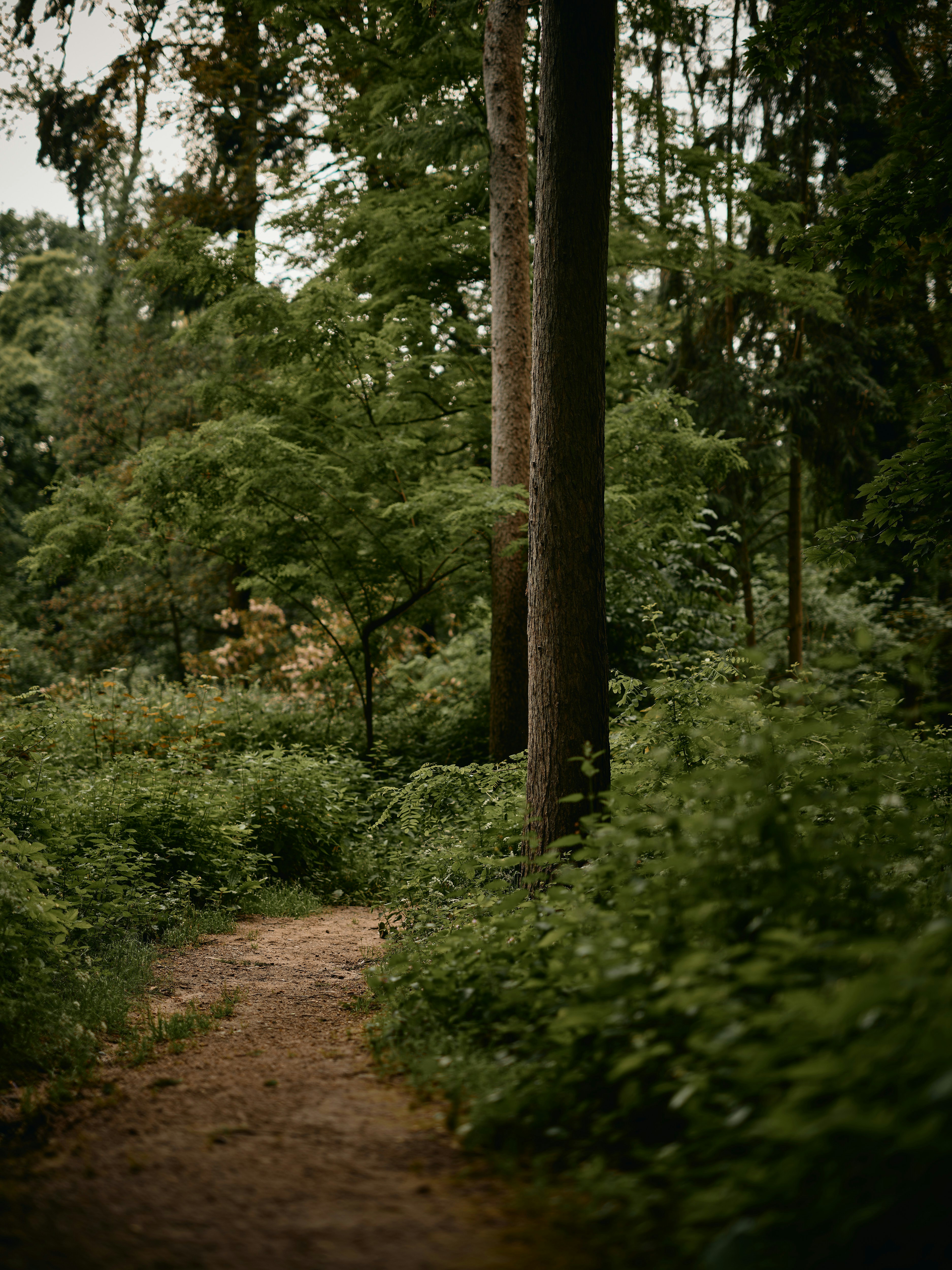 Photo by therealflip_93