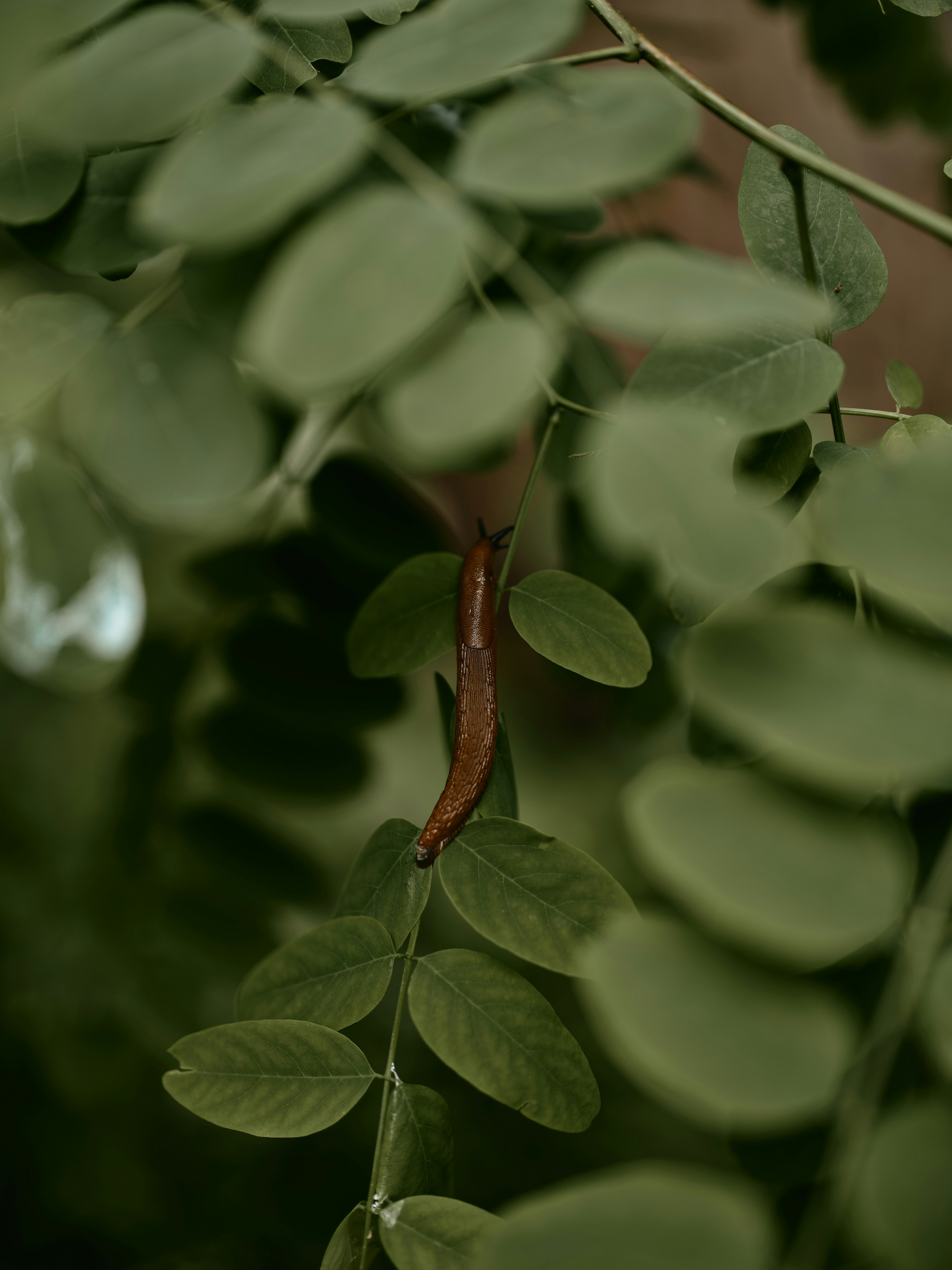 Photo by therealflip_93