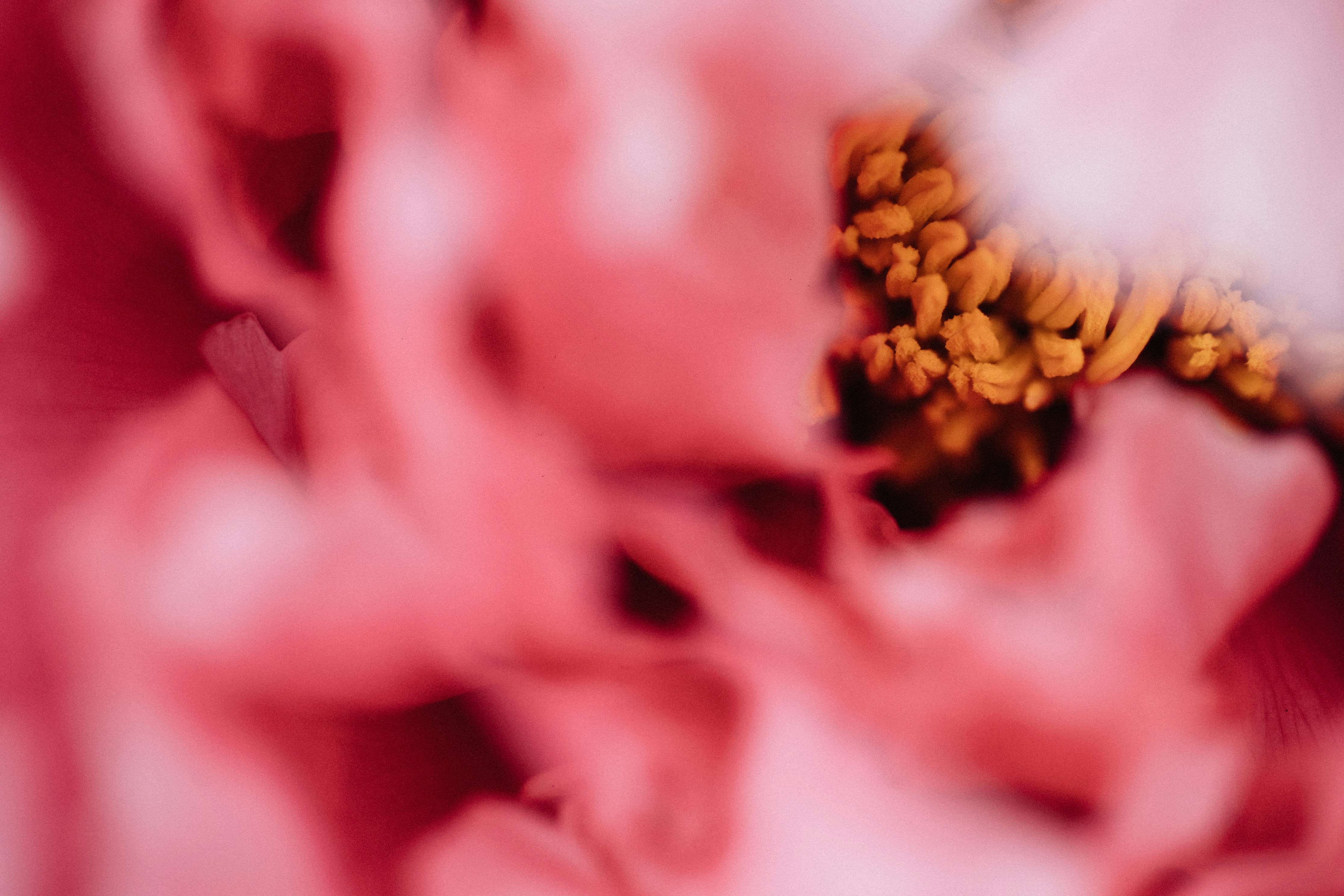 Photo by tsuyoshikozu