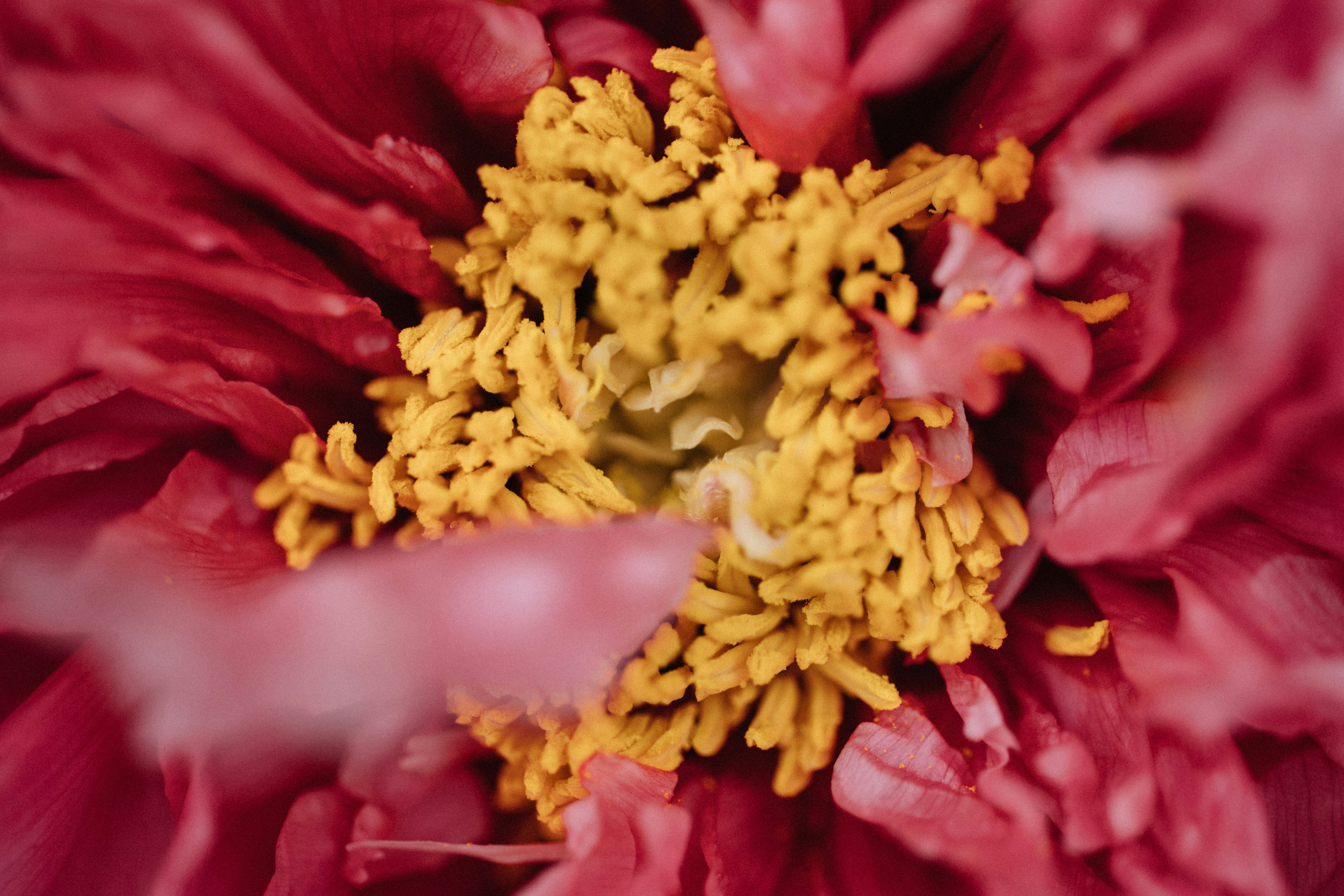 Photo by tsuyoshikozu