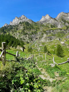 A path in the mountains leading to a wooden fence