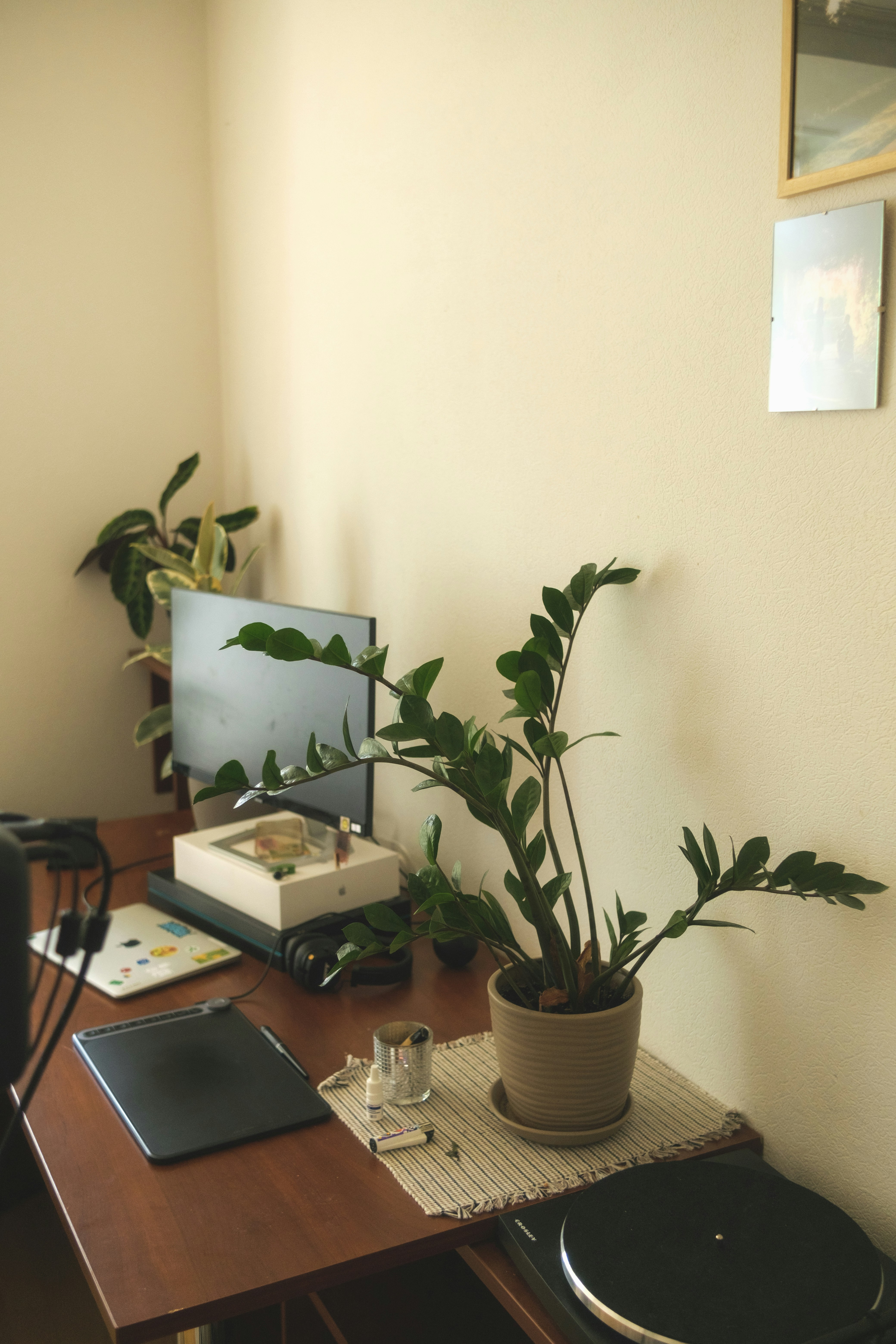 Photo by tobolenkoph