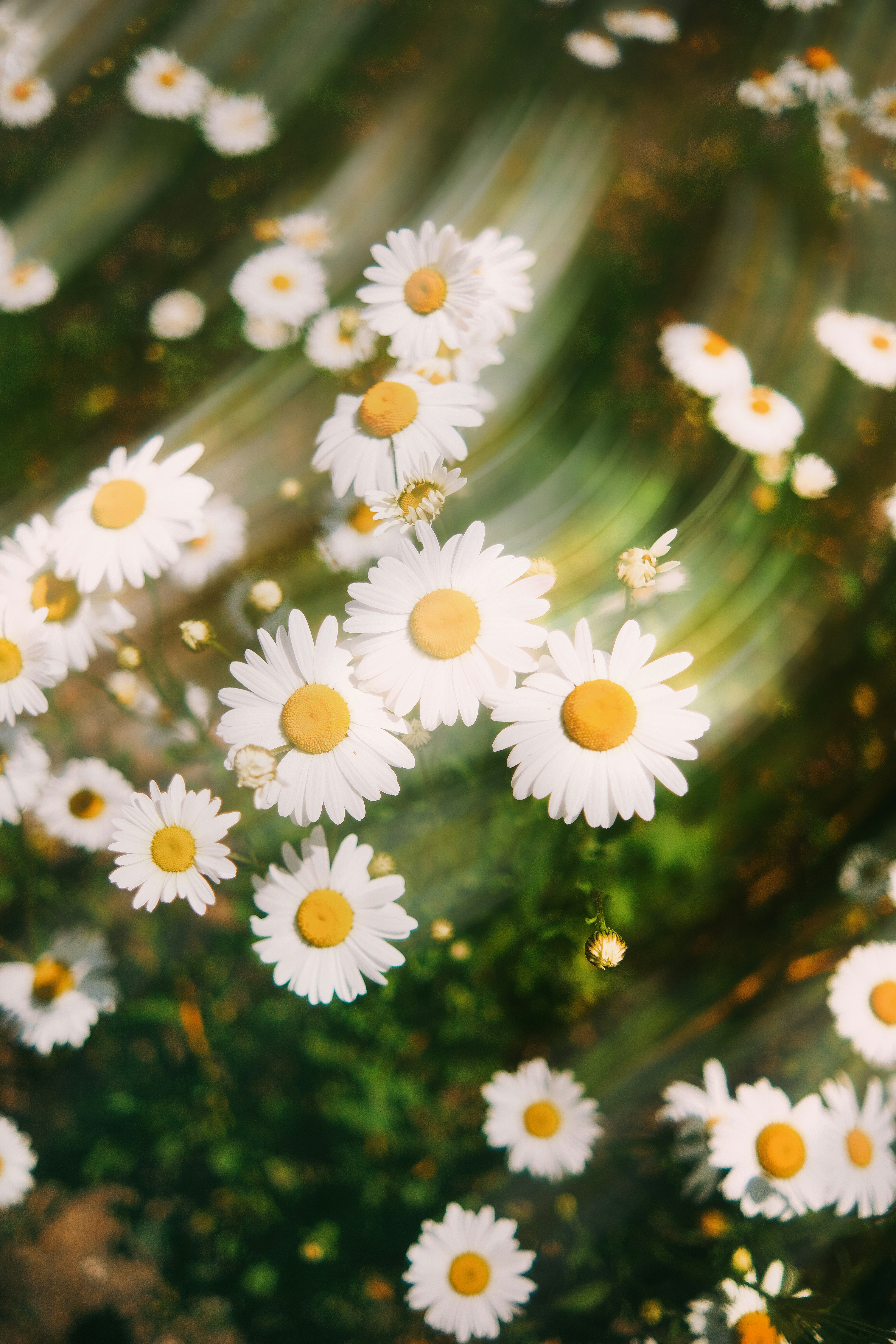 Photo by tobolenkoph