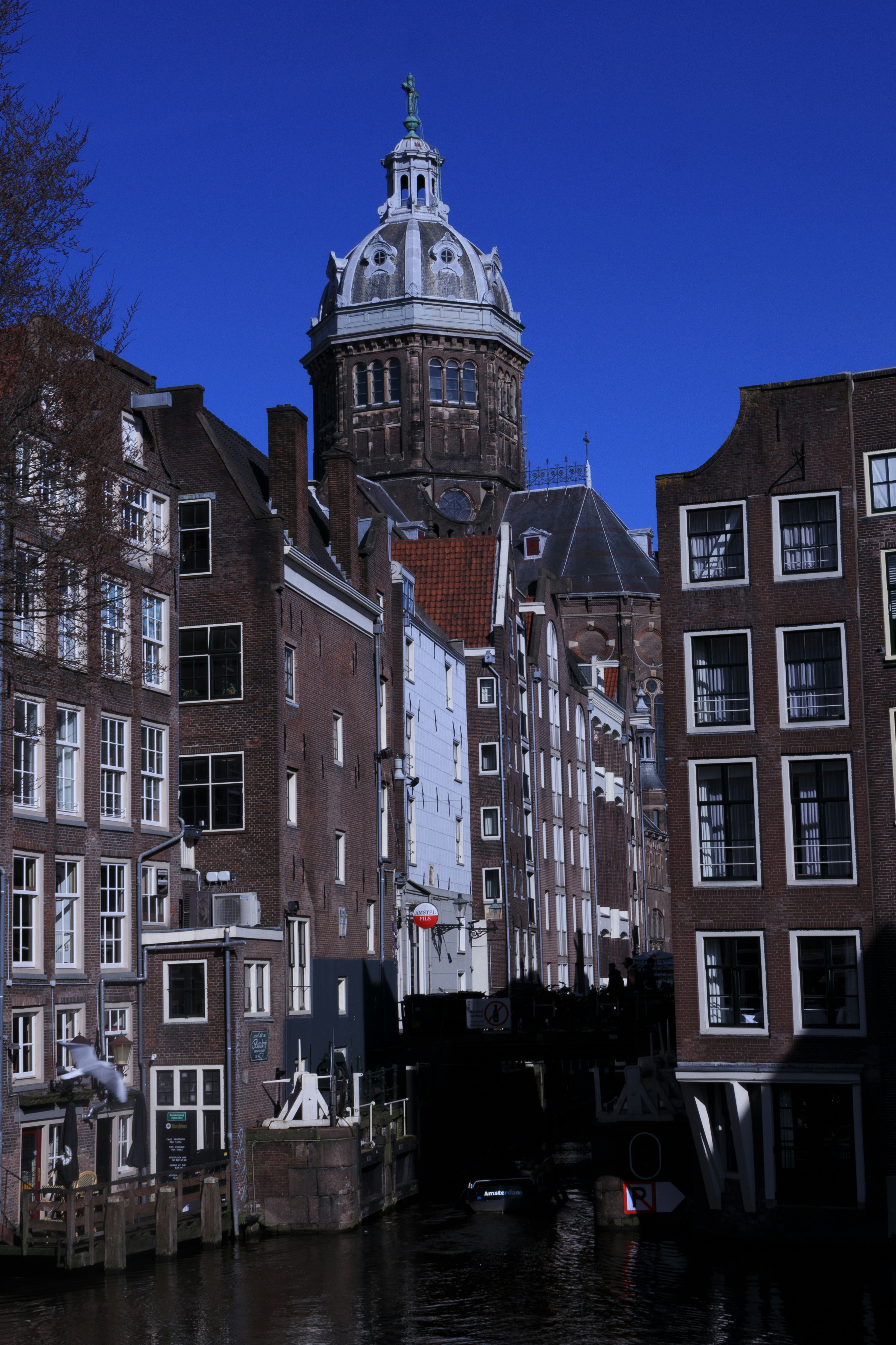 Photo by savuialexandru