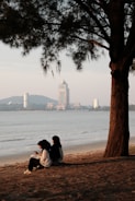 A couple of people sitting on top of a sandy beach