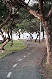 A couple of people that are walking down a path