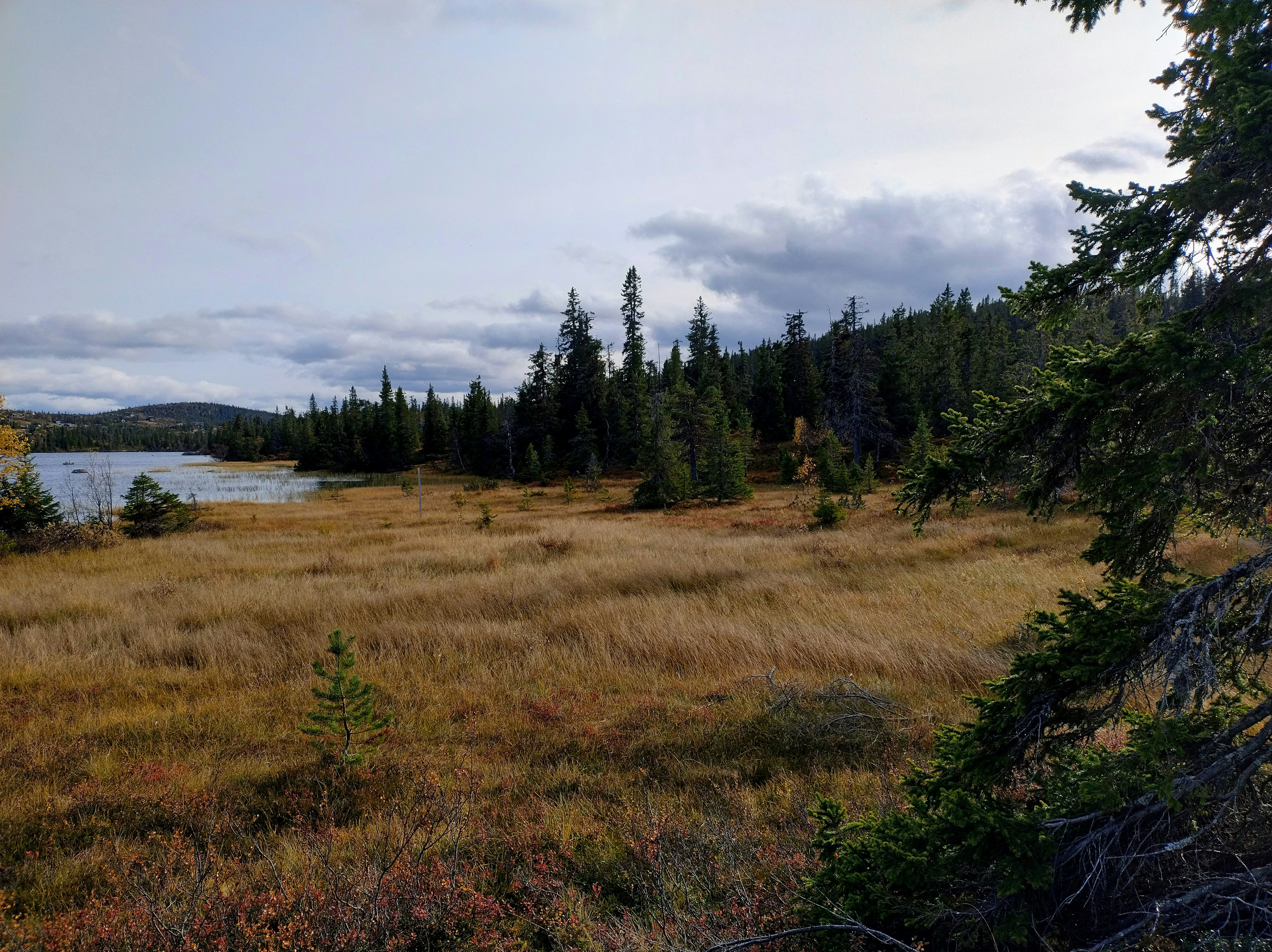 Photo by tomaslangkaas