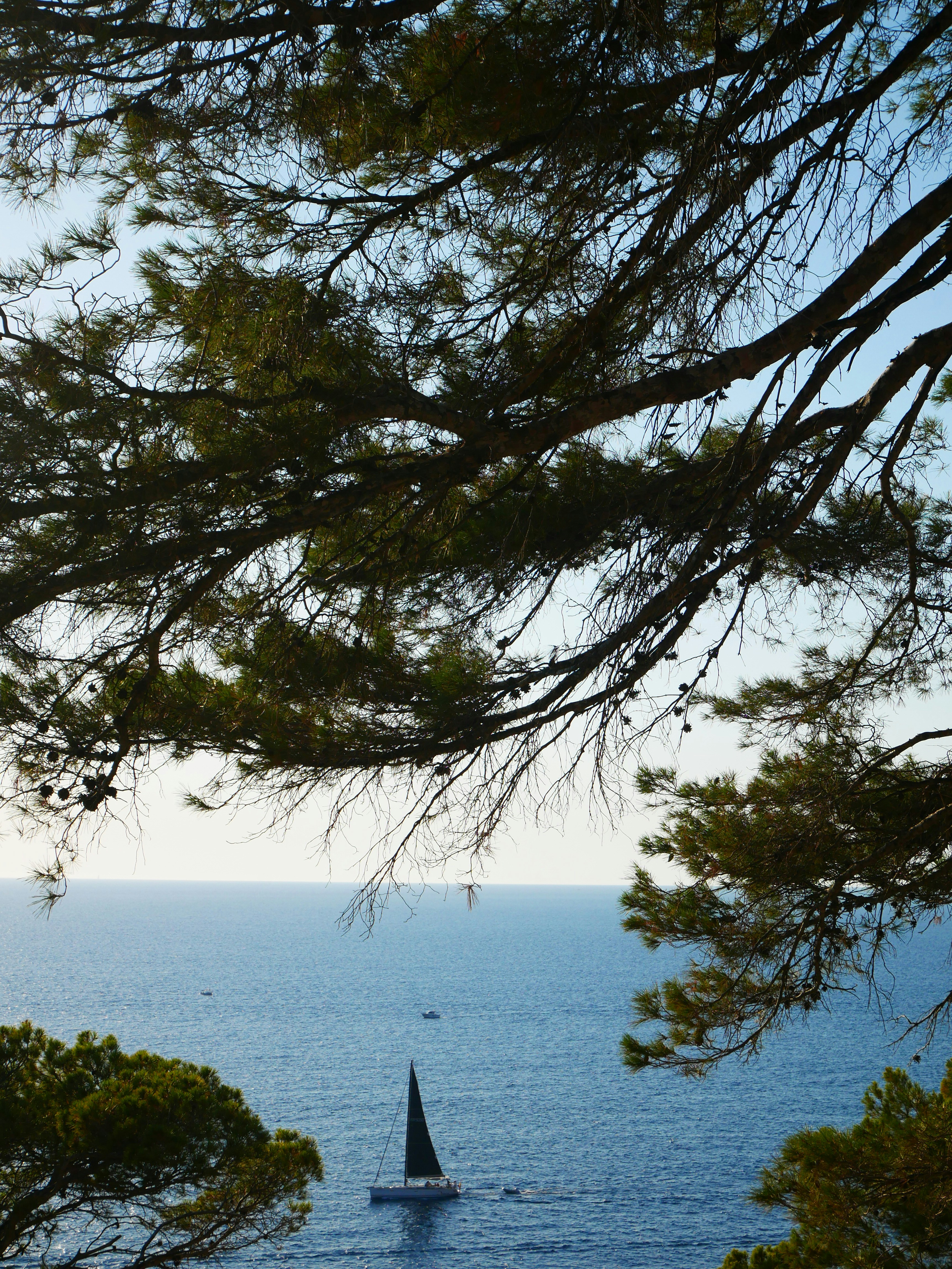 Photo by imkeschmitz