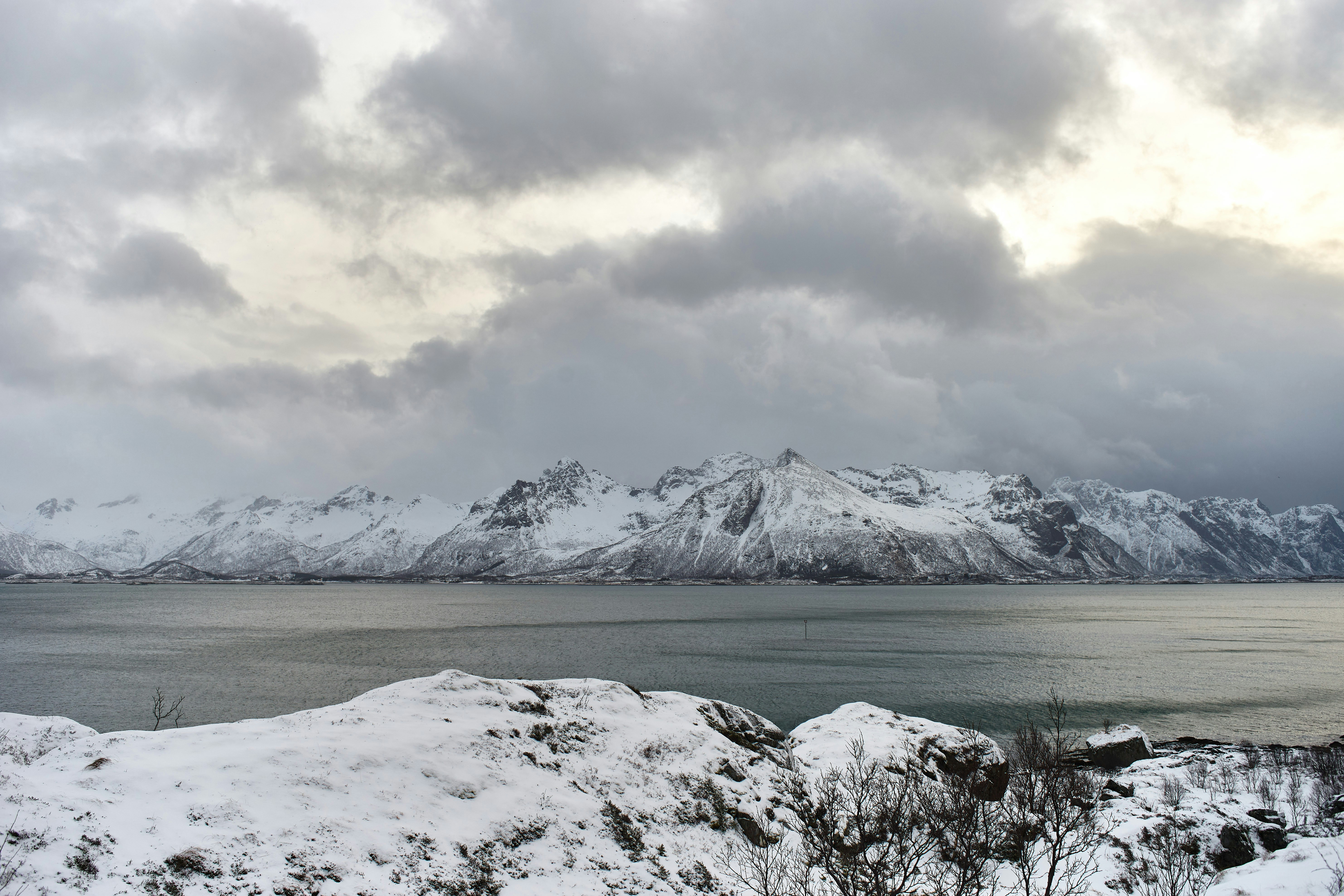 Photo by wolfgang_hasselmann