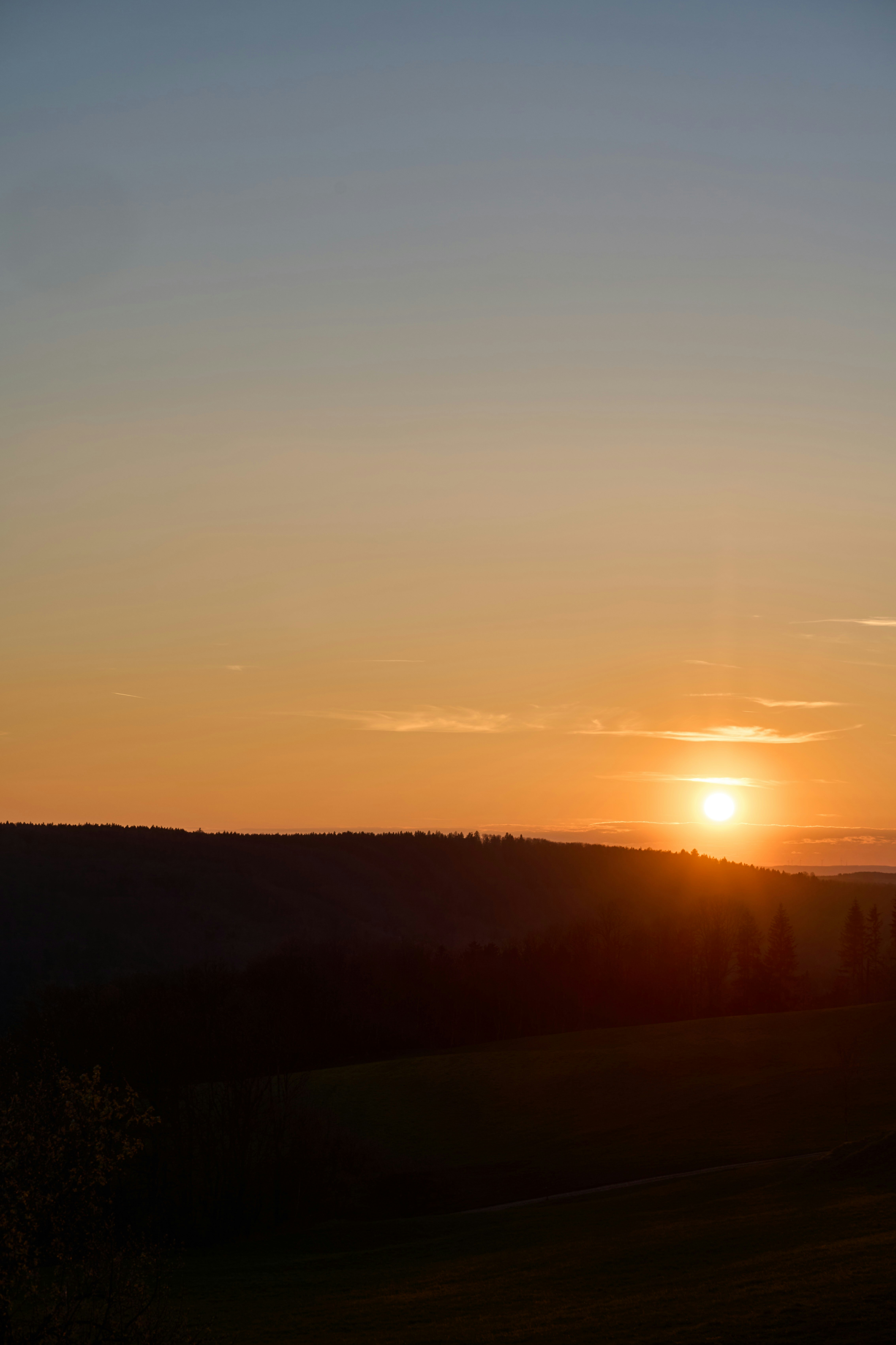 Photo by wolfgang_hasselmann