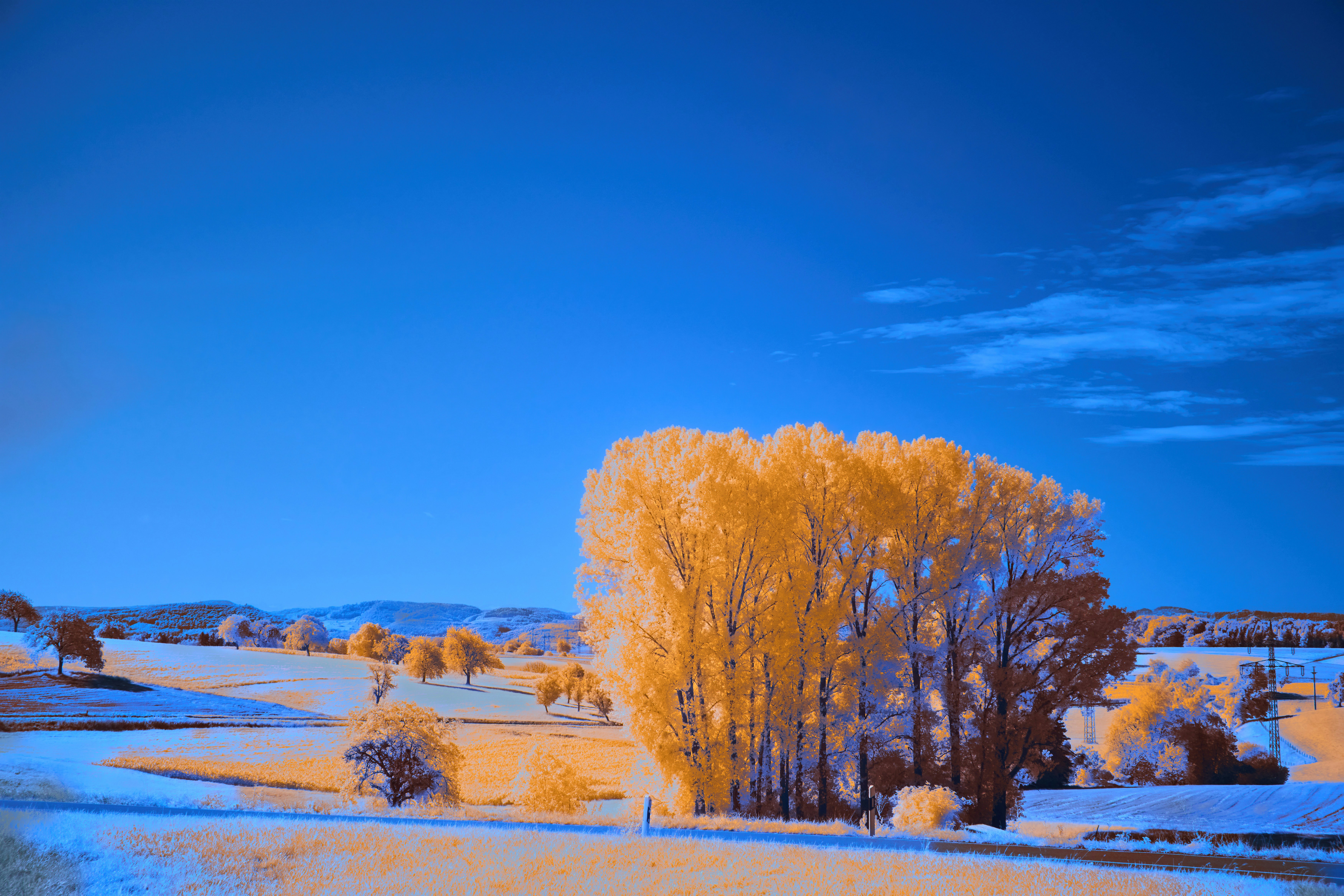 Photo by wolfgang_hasselmann