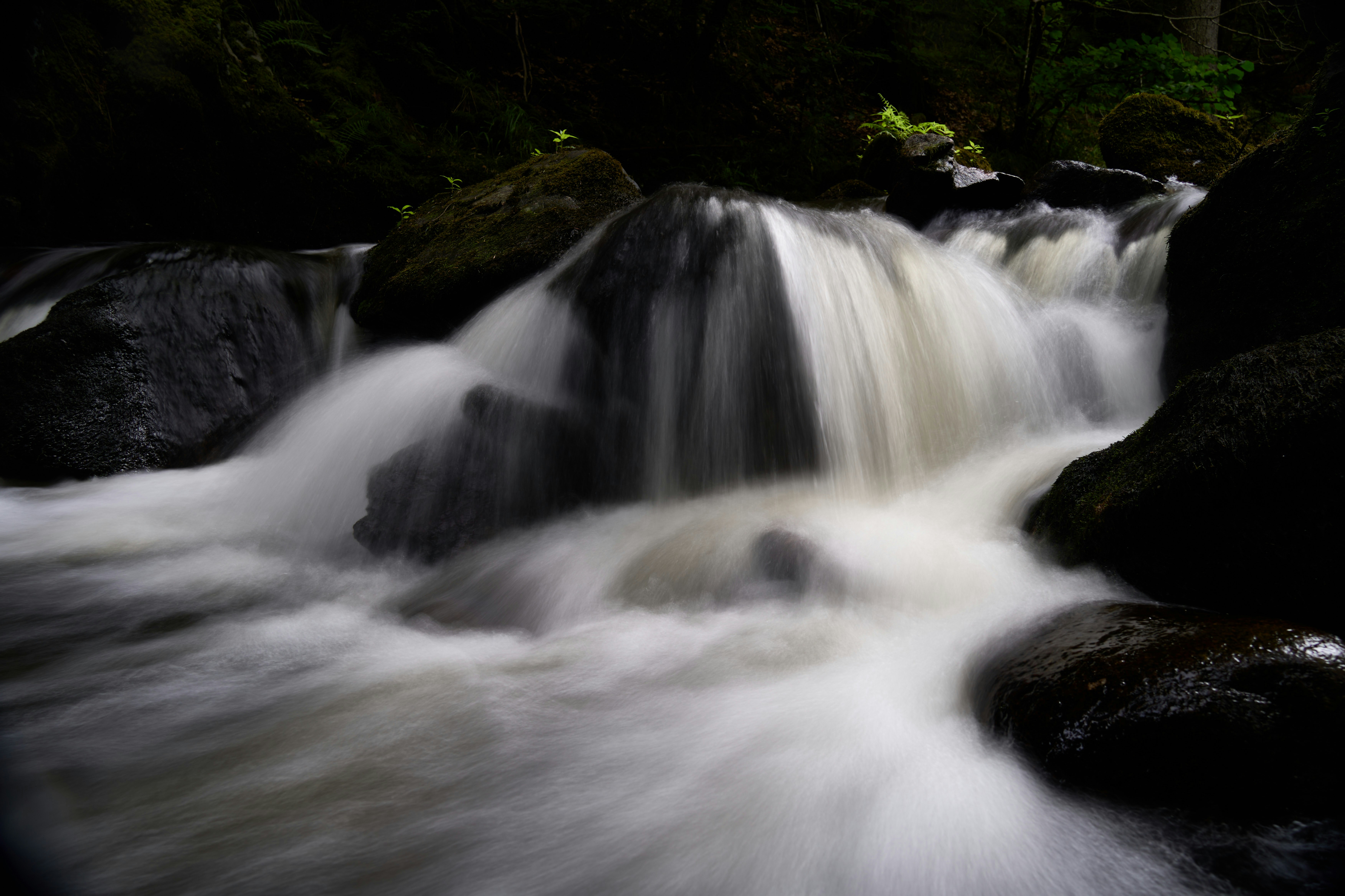 Photo by wolfgang_hasselmann