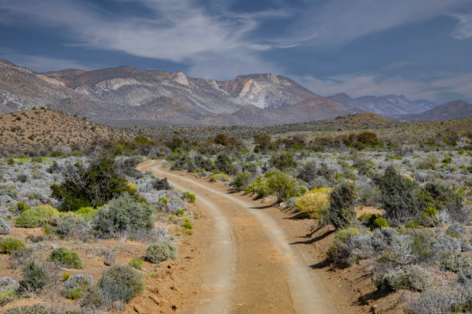 The image depicts a dirt road winding through a desert landscape, with mountains rising in the background under a clear blue sky. The road is surrounded by sparse vegetation and shrubs, adding to the arid atmosphere. The perspective suggests that the viewer is standing on the side of the road, looking towards the distant mountains.