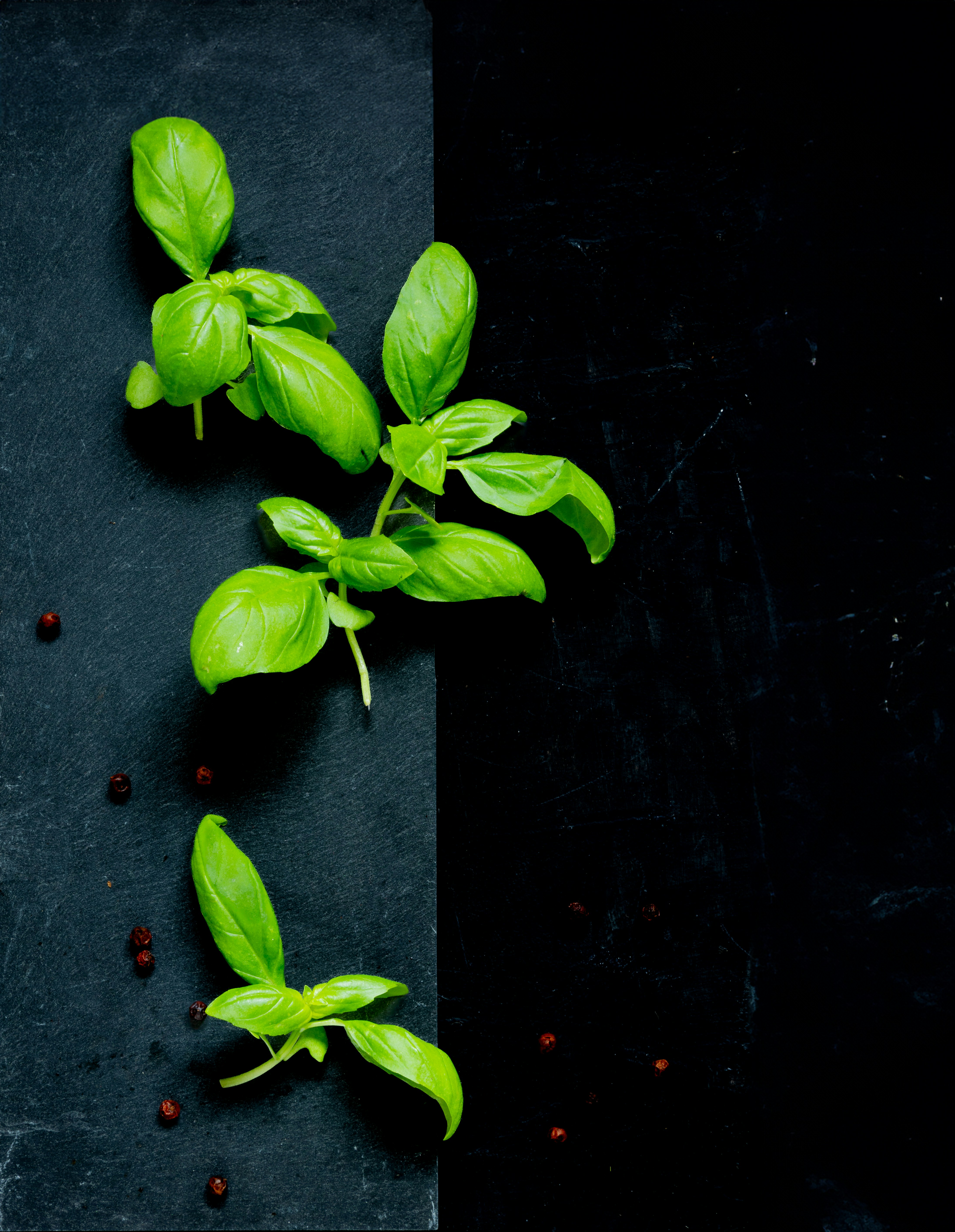 Basil And Chamomile Detox Tea Recipe