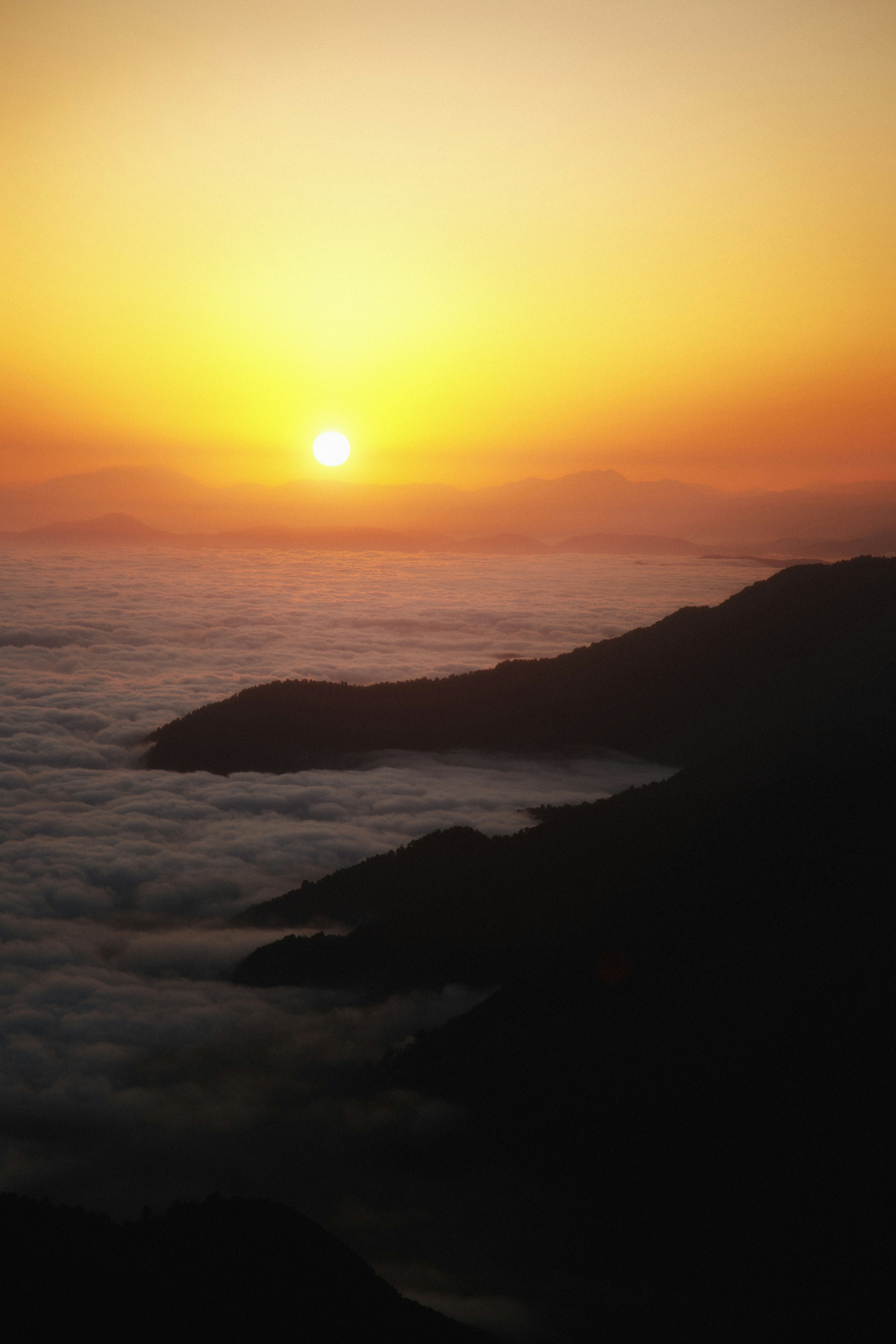 Photo by mrcharkhgard