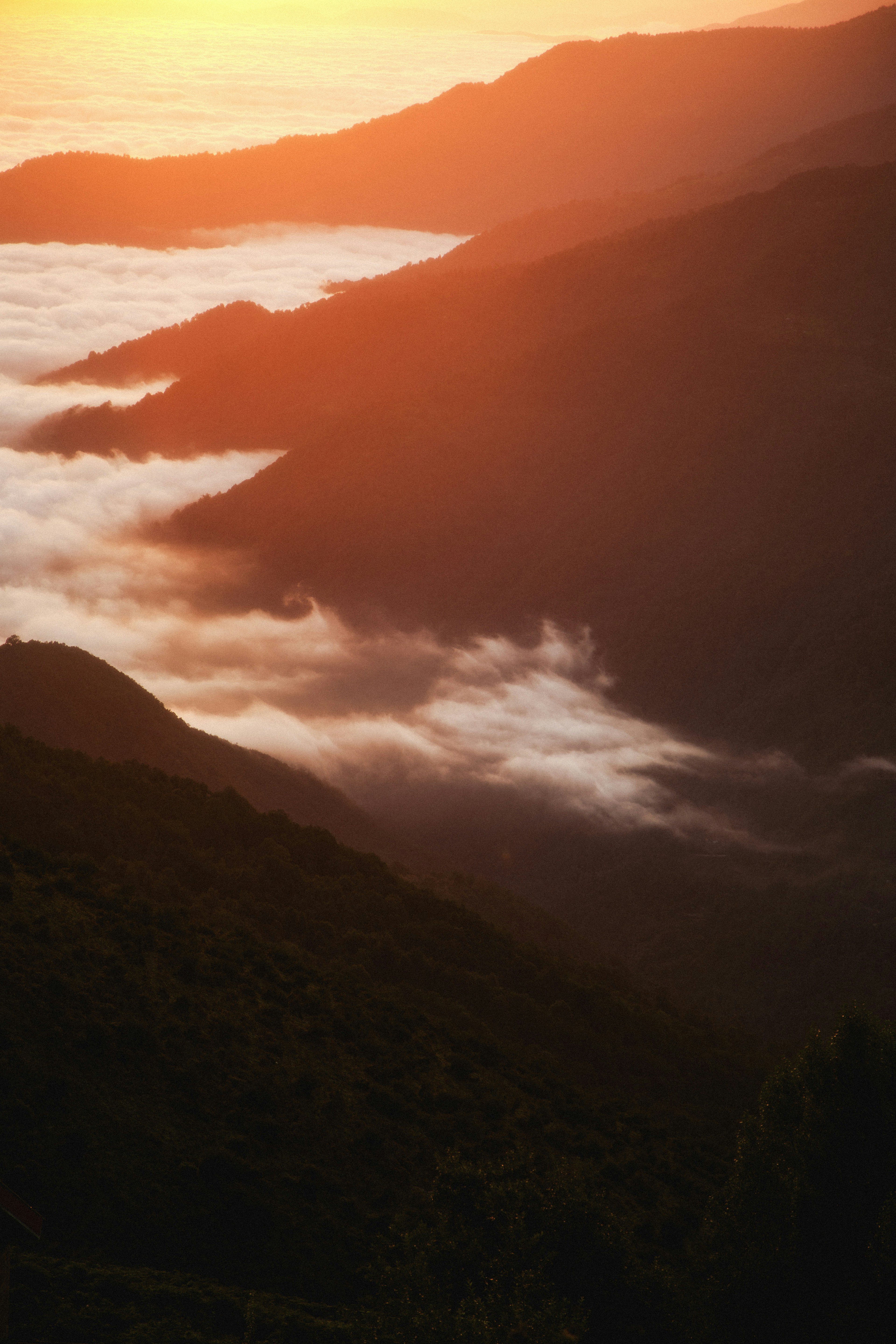 Photo by mrcharkhgard