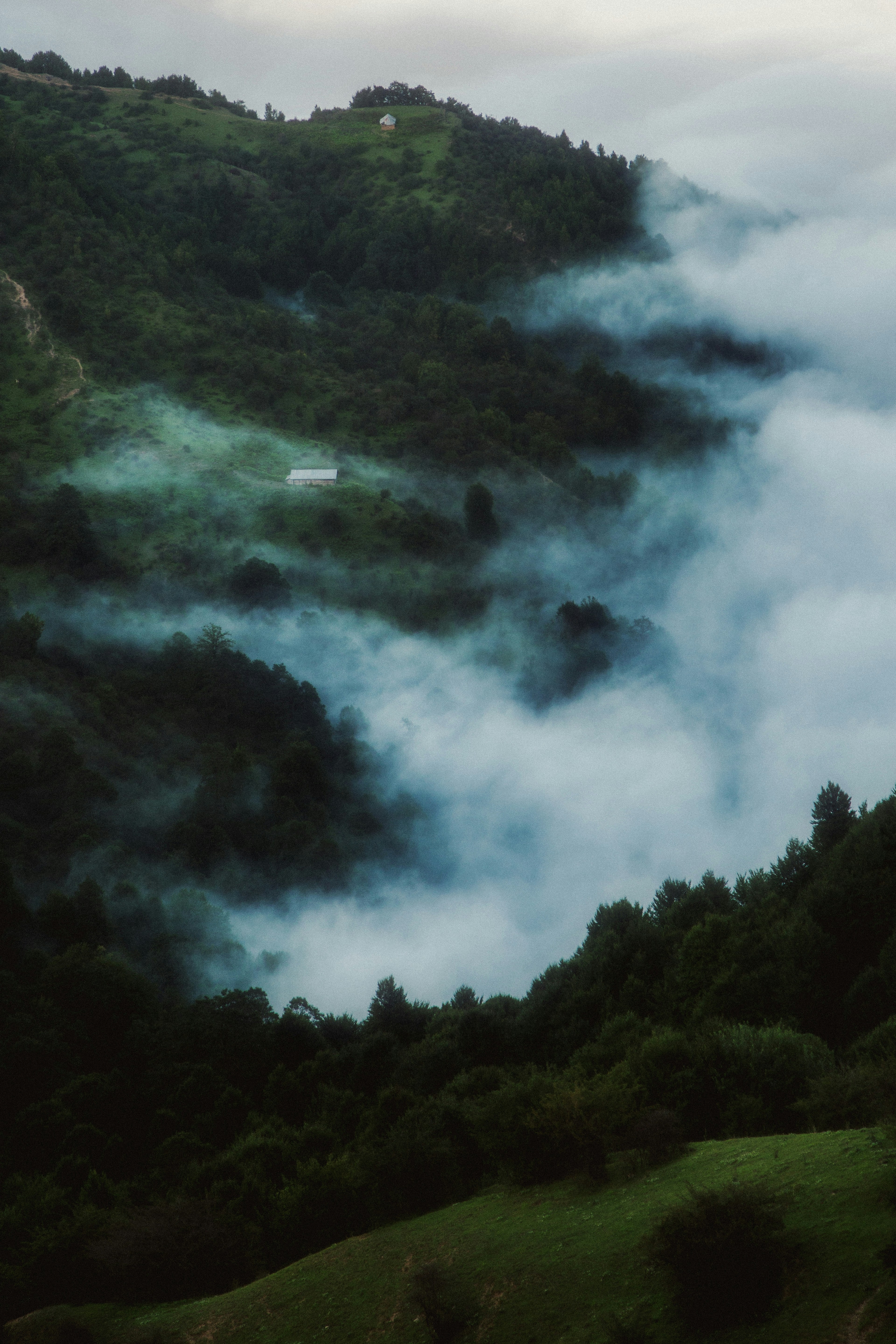 Photo by mrcharkhgard