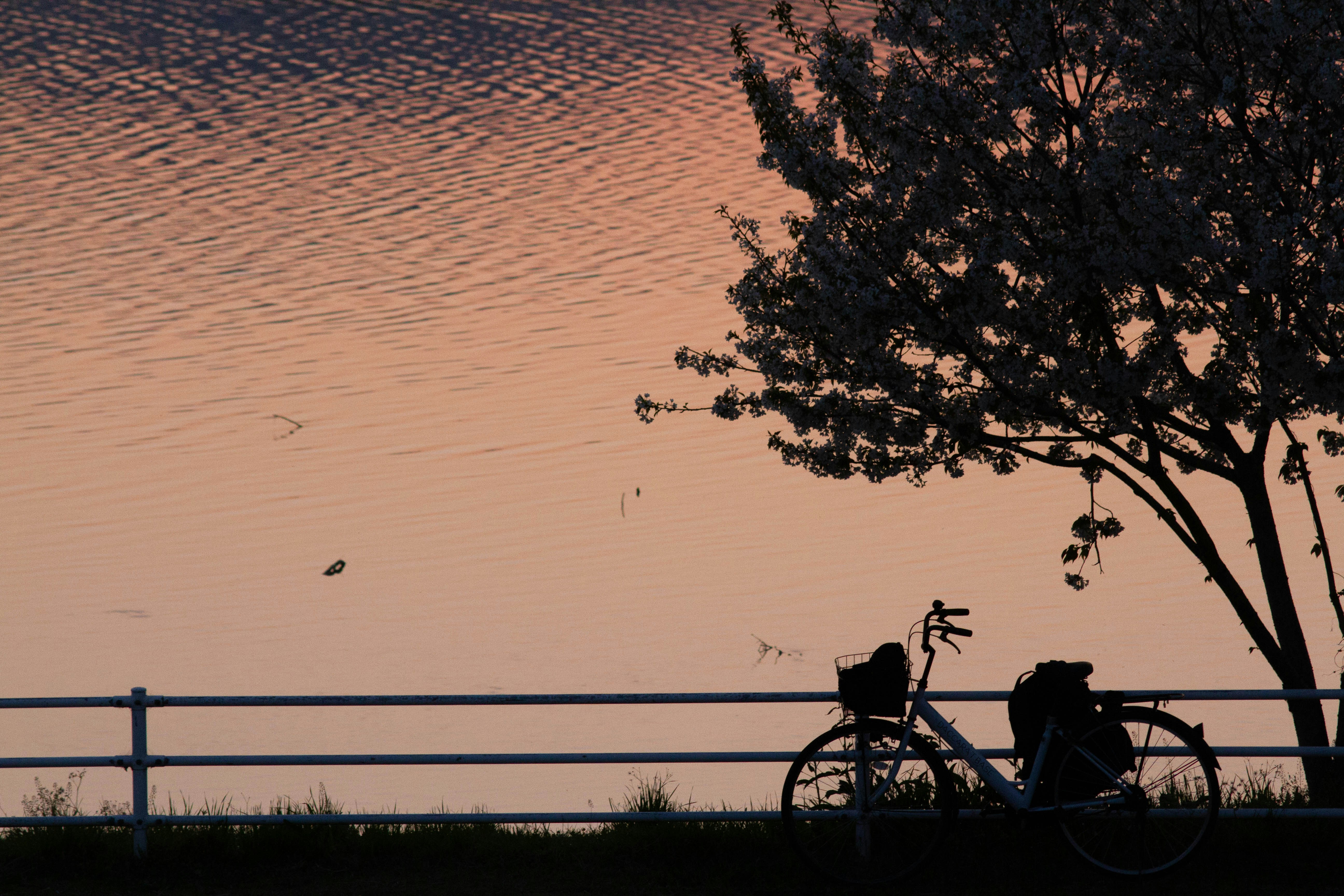 Photo by da_shika_photo