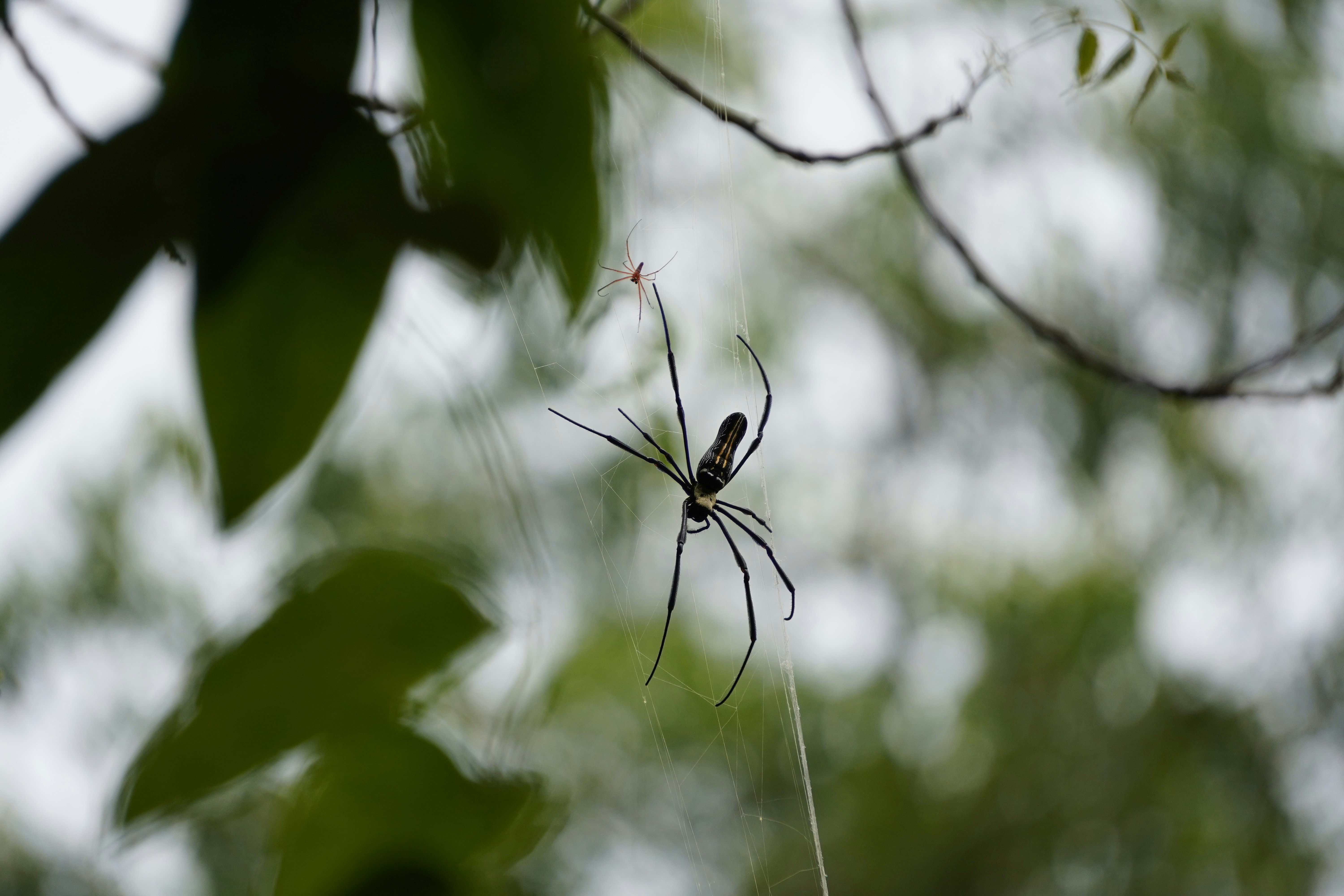 Photo by adeveloper79