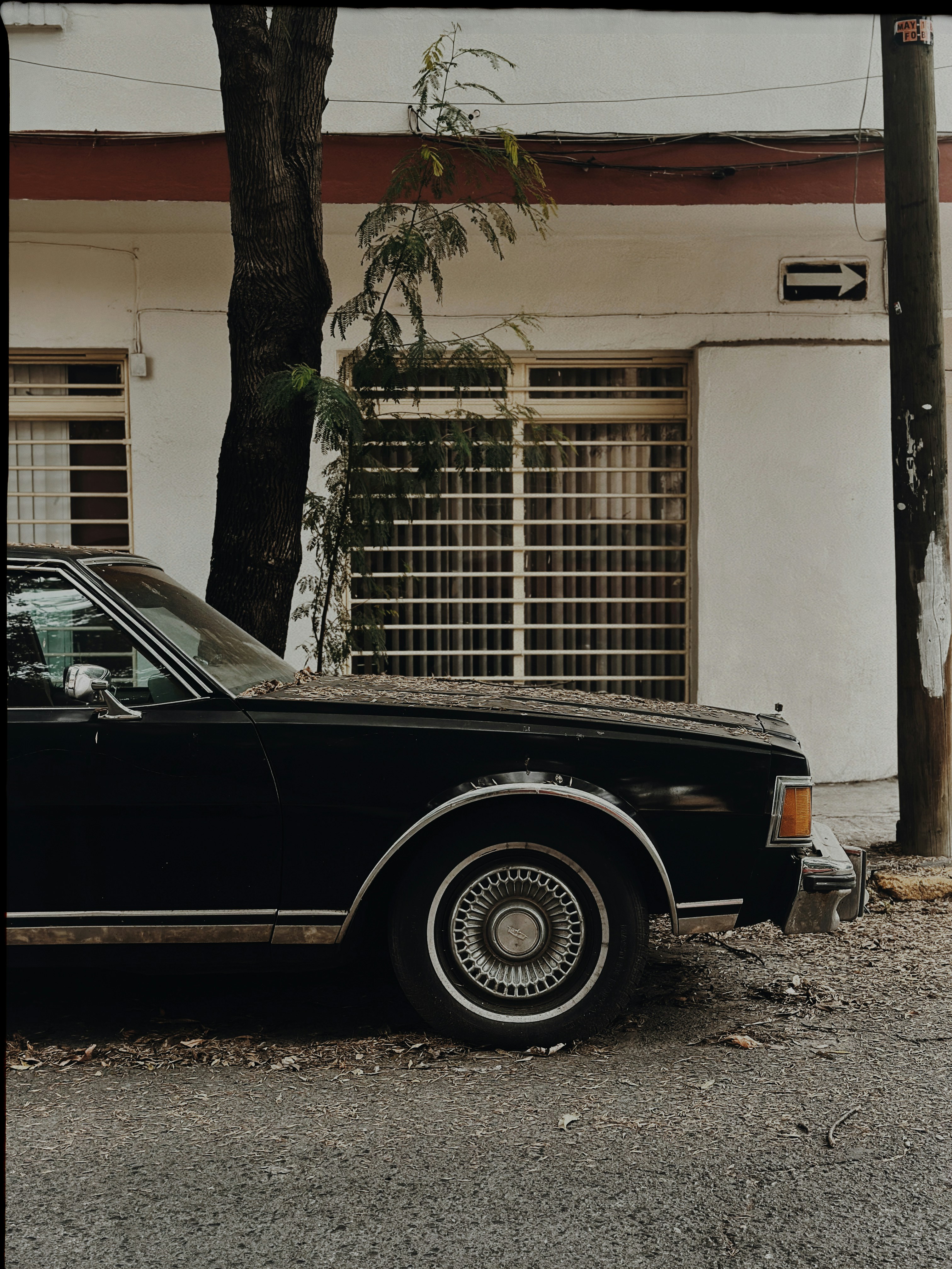 Photo by jonathansancheziam