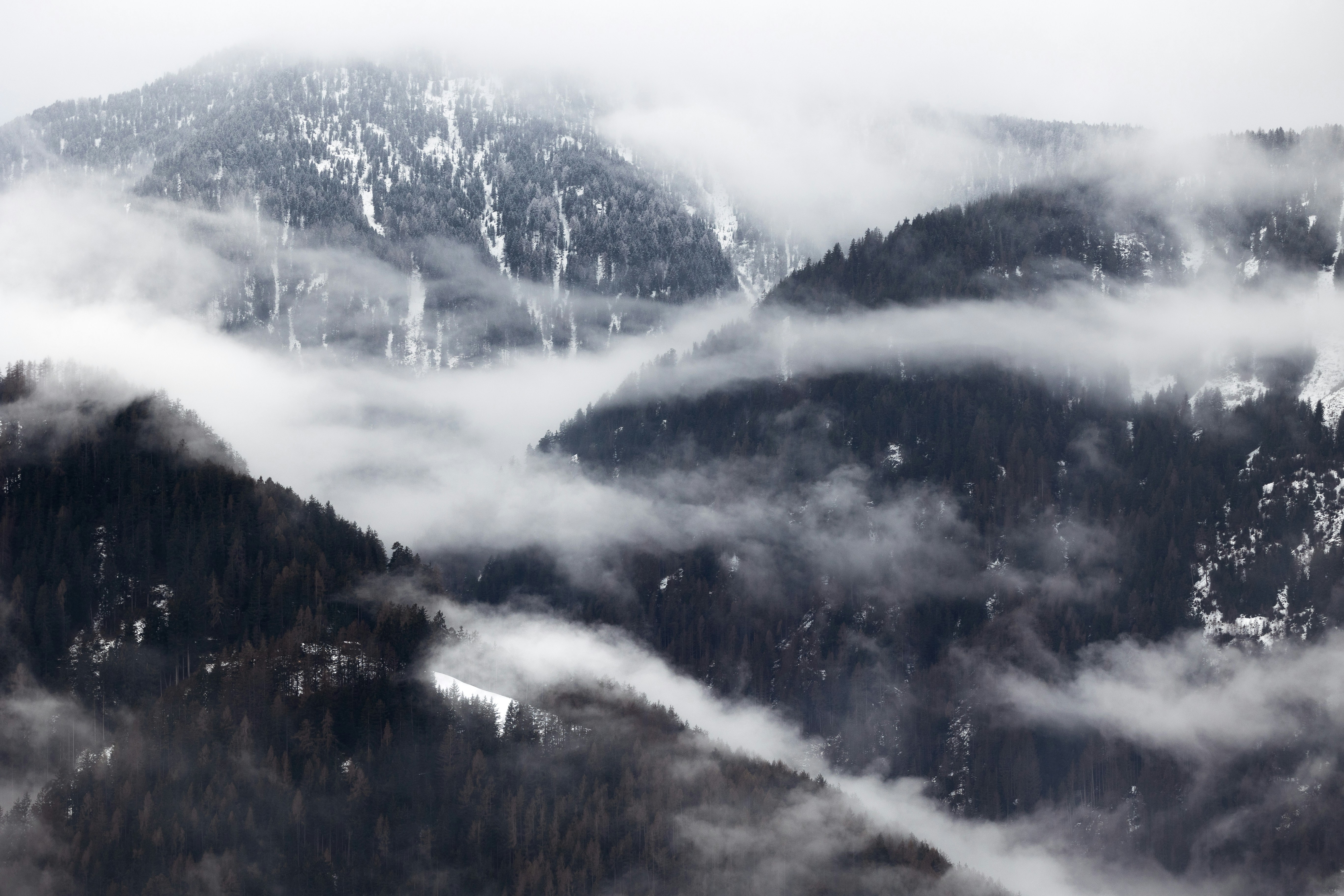 Photo by marekpiwnicki