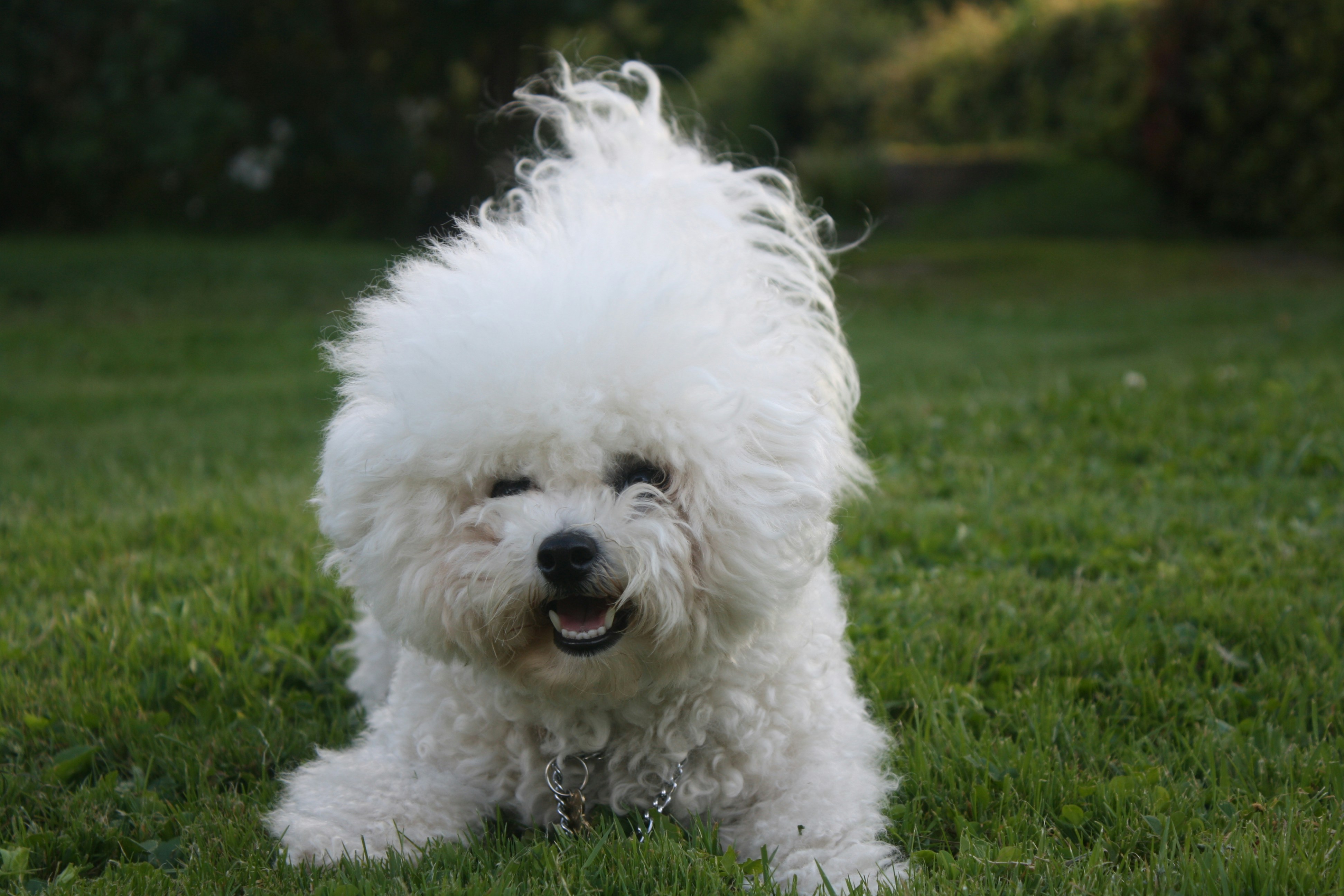 Photo by pickle_juice36