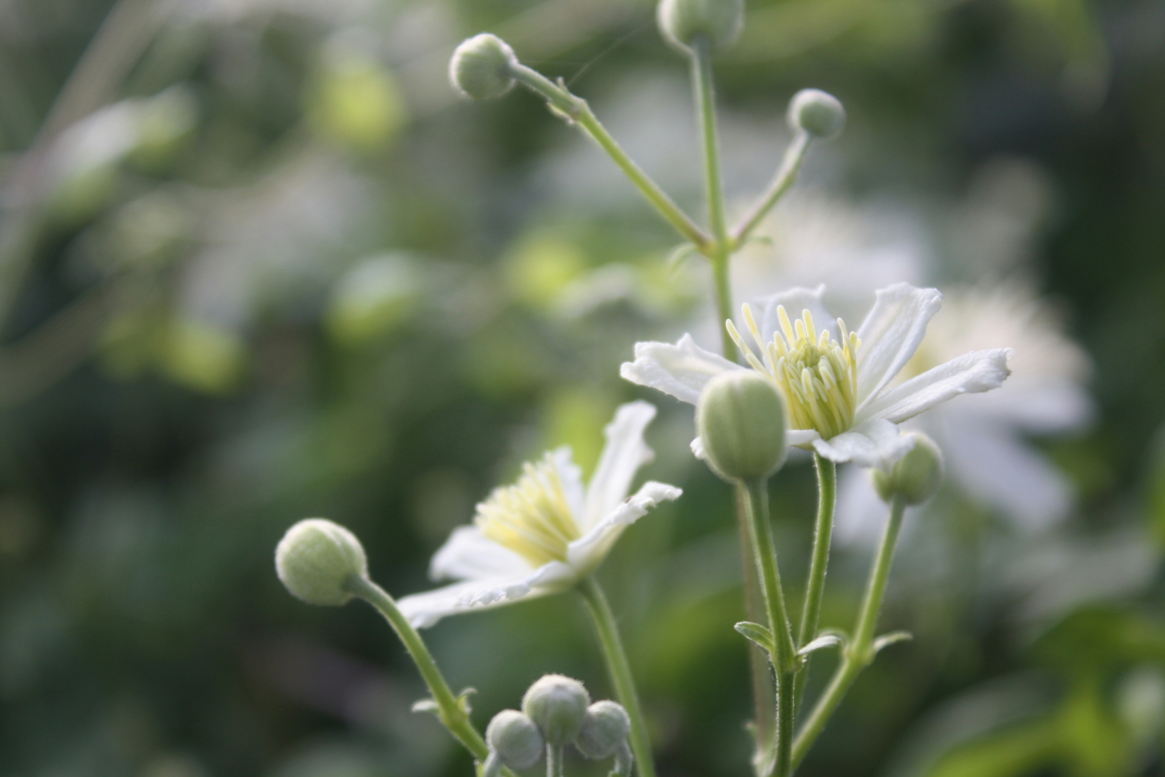 Photo by pickle_juice36