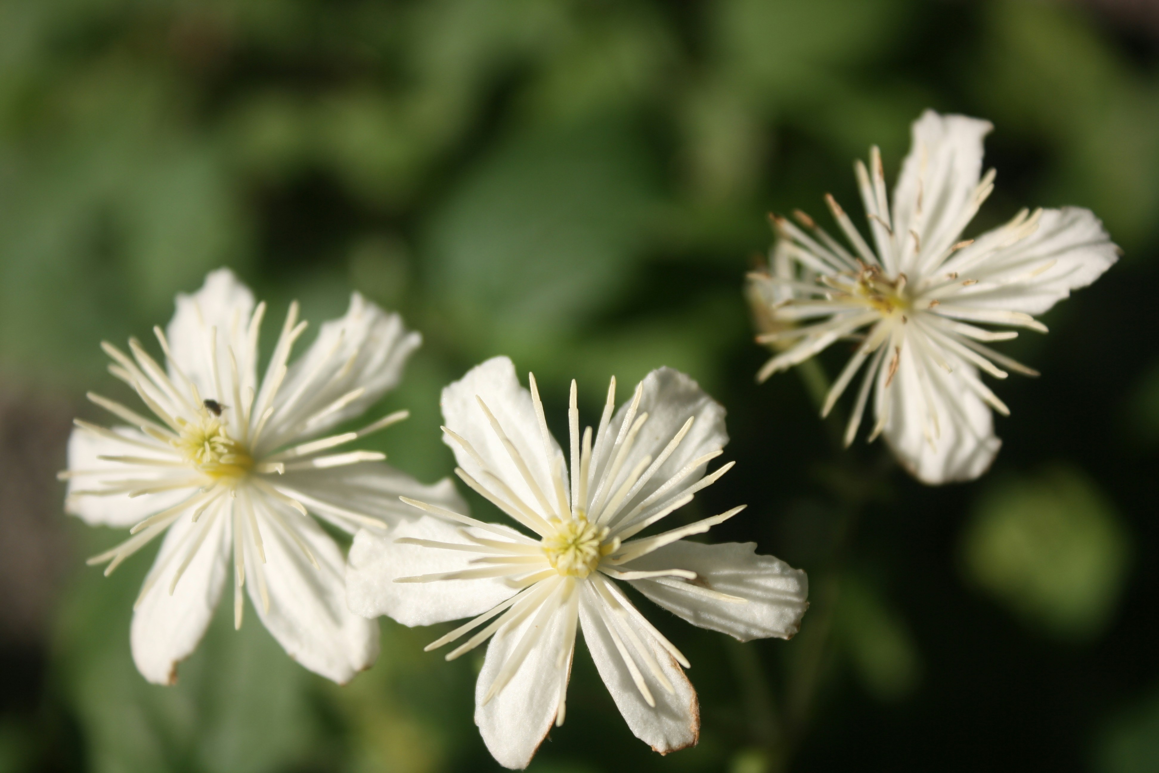 Photo by pickle_juice36