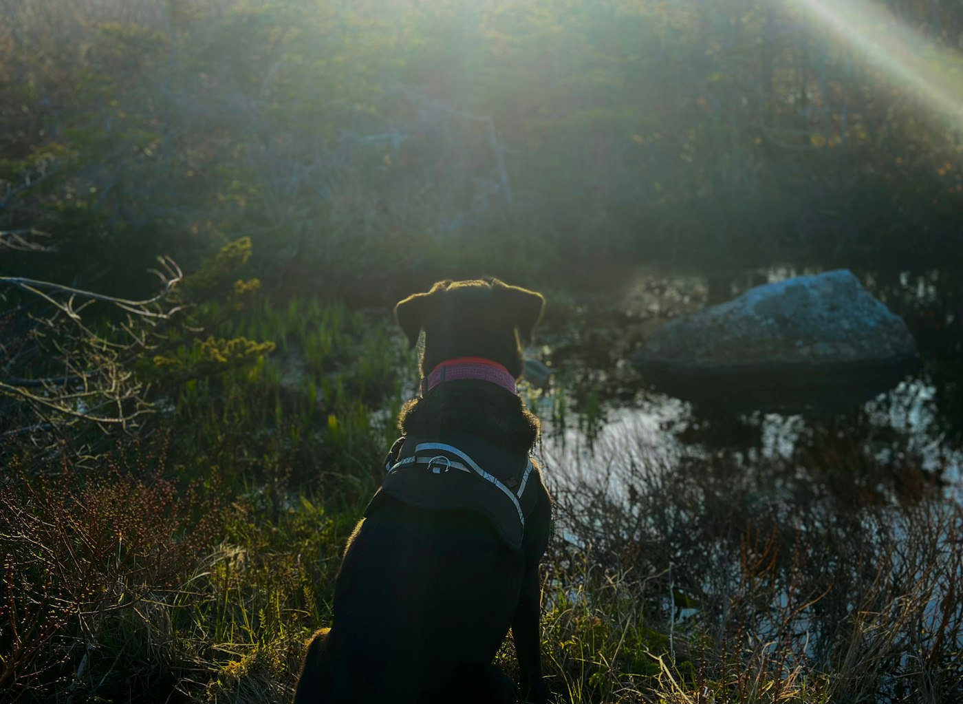 Coastal view of Saint Pierre and Miquelon
