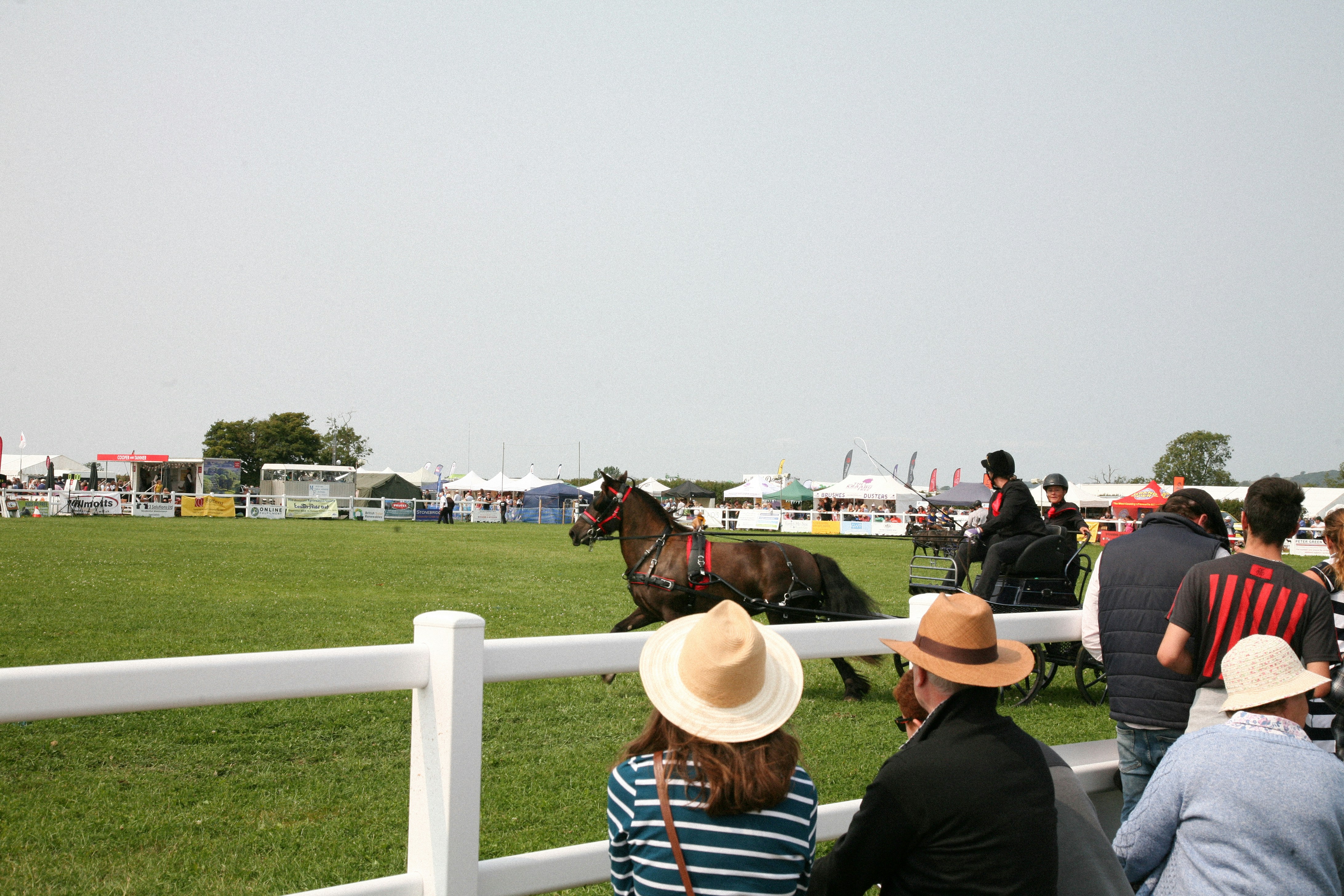 A group of people watching a horse race