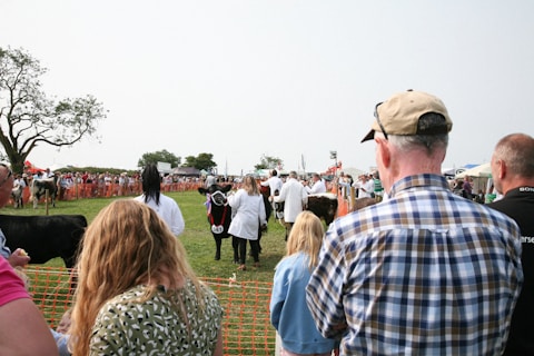A group of people standing around a cow